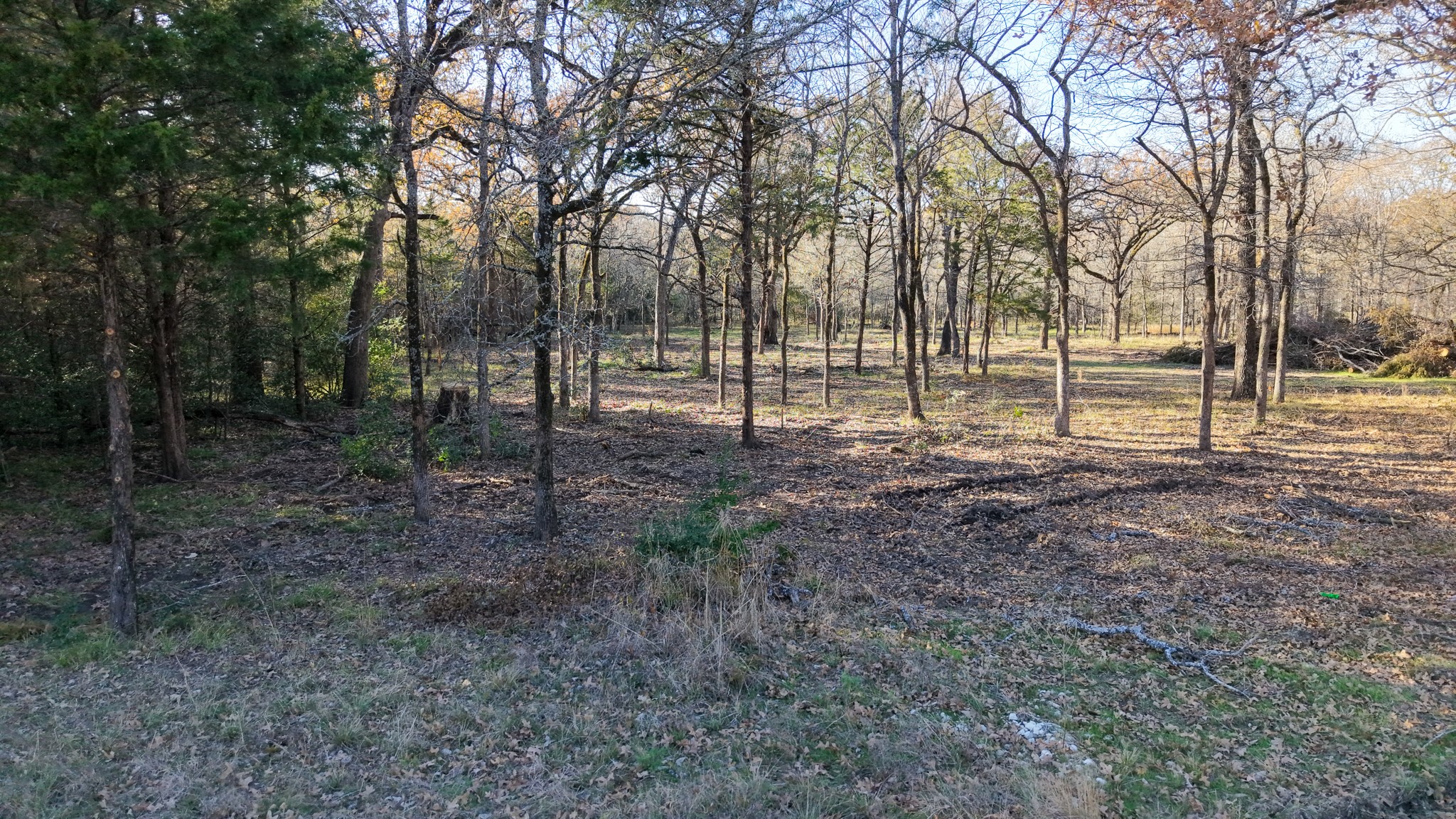 122 Oakmont Drive Mabank TX 75147
