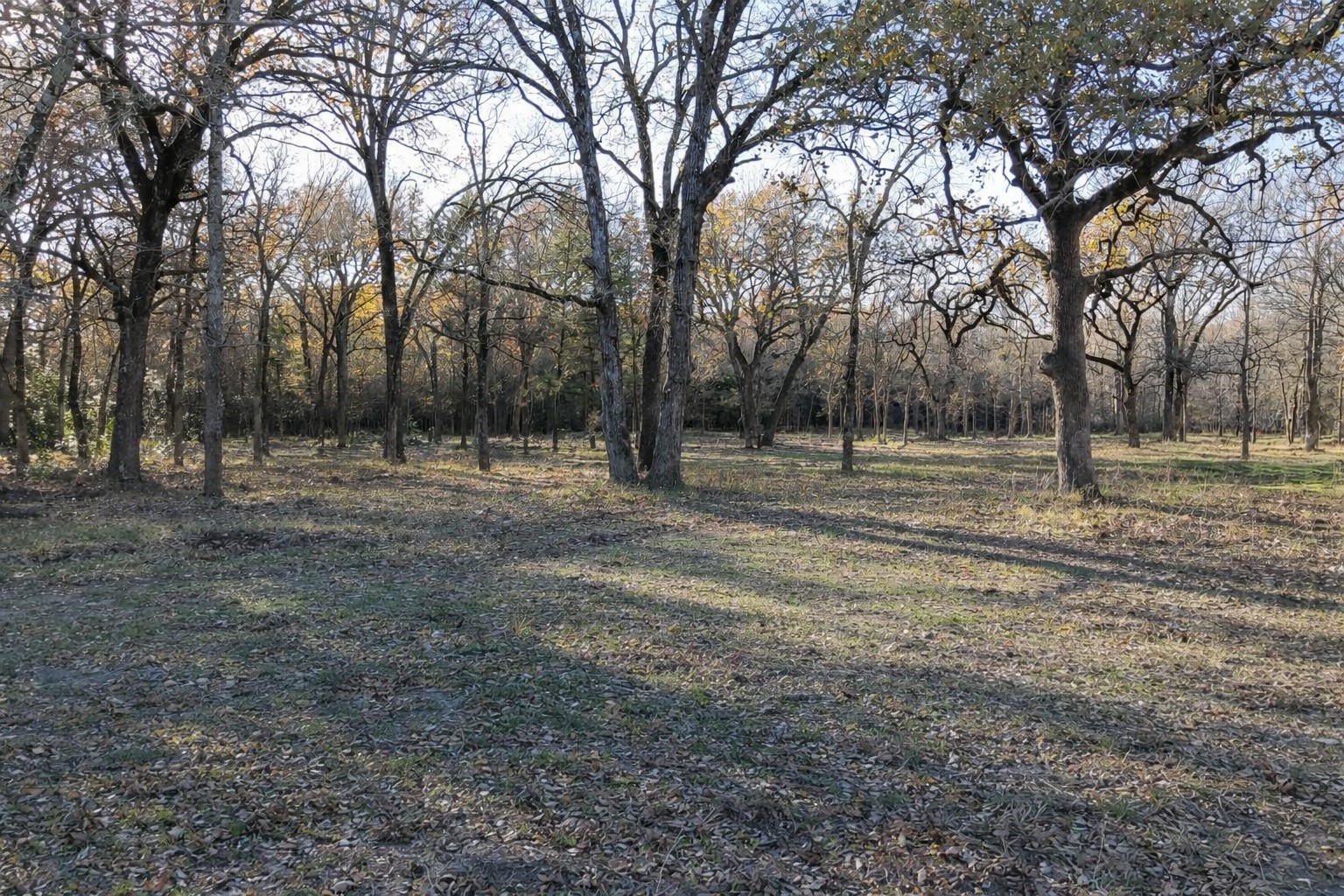 122 Oakmont Drive Mabank TX 75147