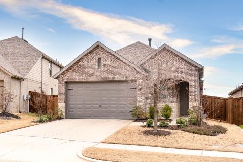 1320 Friesian Lane Aubrey TX 76227
