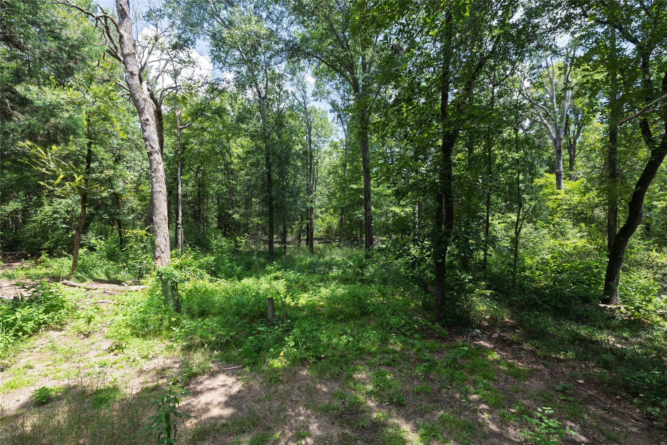 14313 Fm 645 Palestine TX 75803