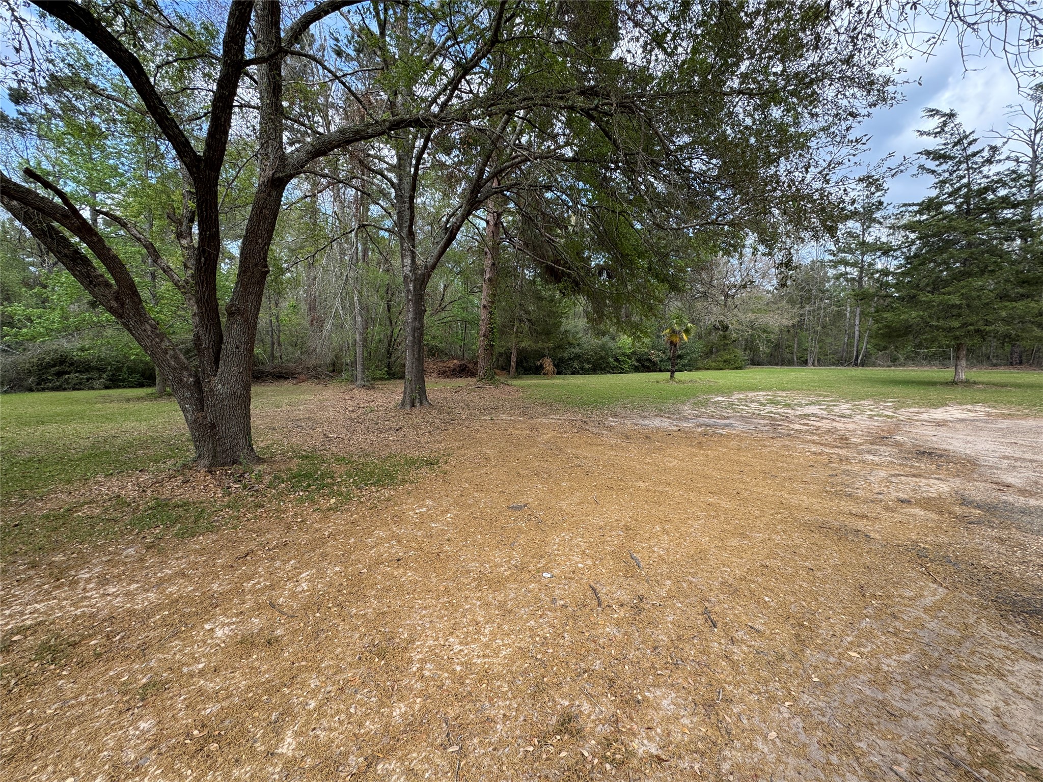 6344 Highway 4 Ringgold LA 71068