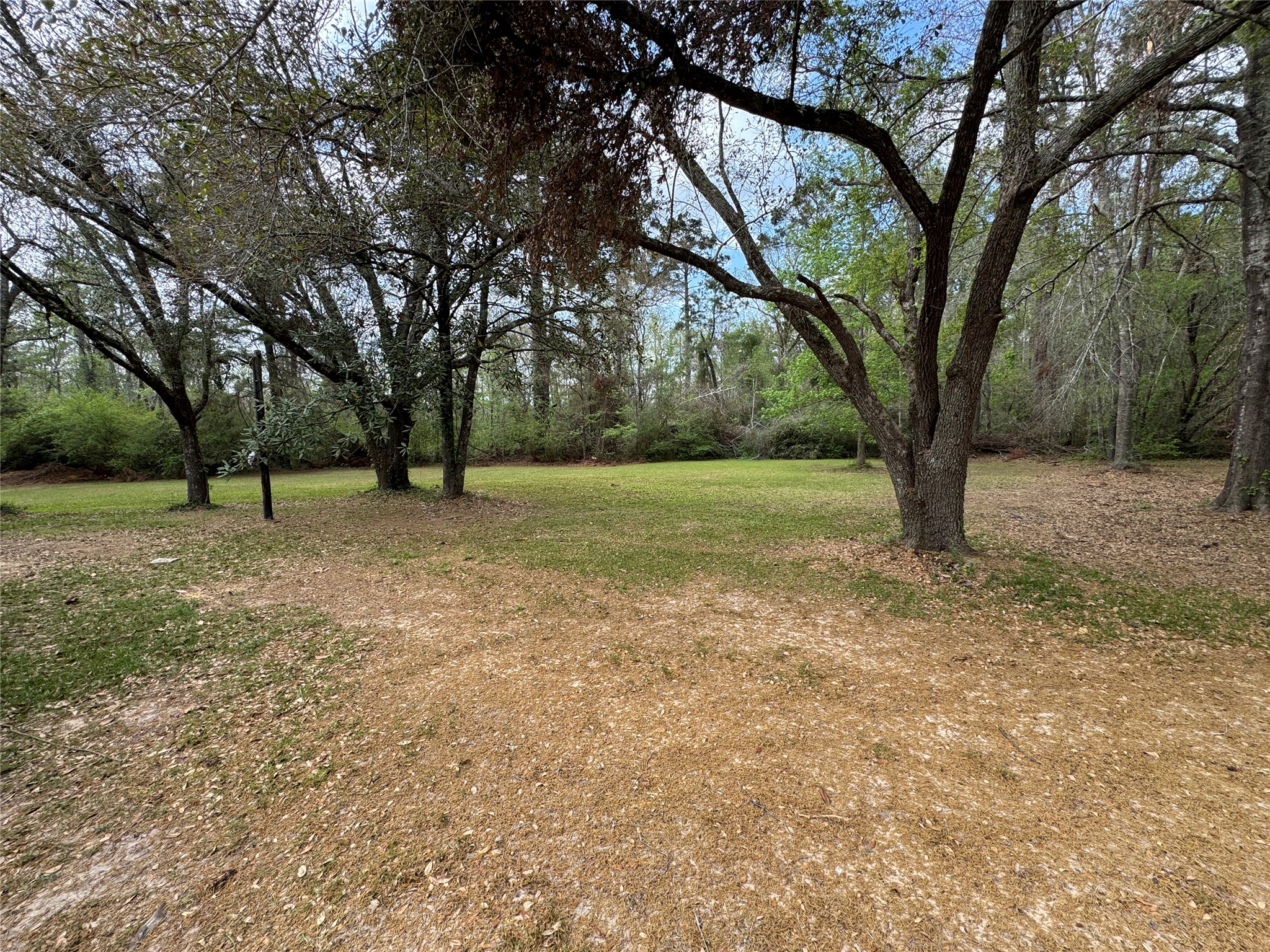 6344 Highway 4 Ringgold LA 71068