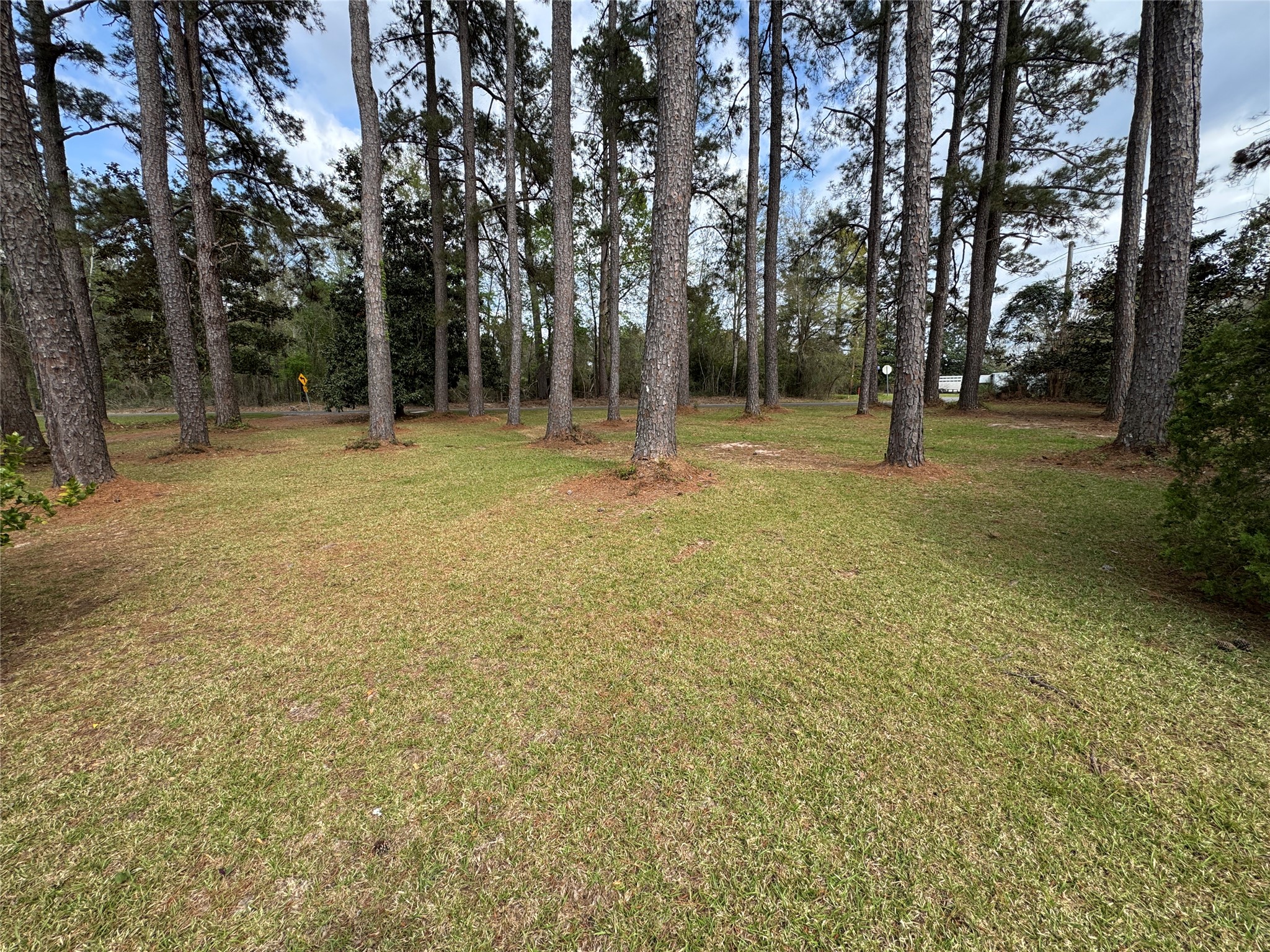 6344 Highway 4 Ringgold LA 71068