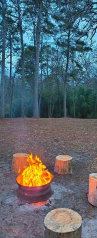 106 Sandy Lane Road Scroggins TX 75480