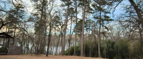 106 Sandy Lane Road Scroggins TX 75480