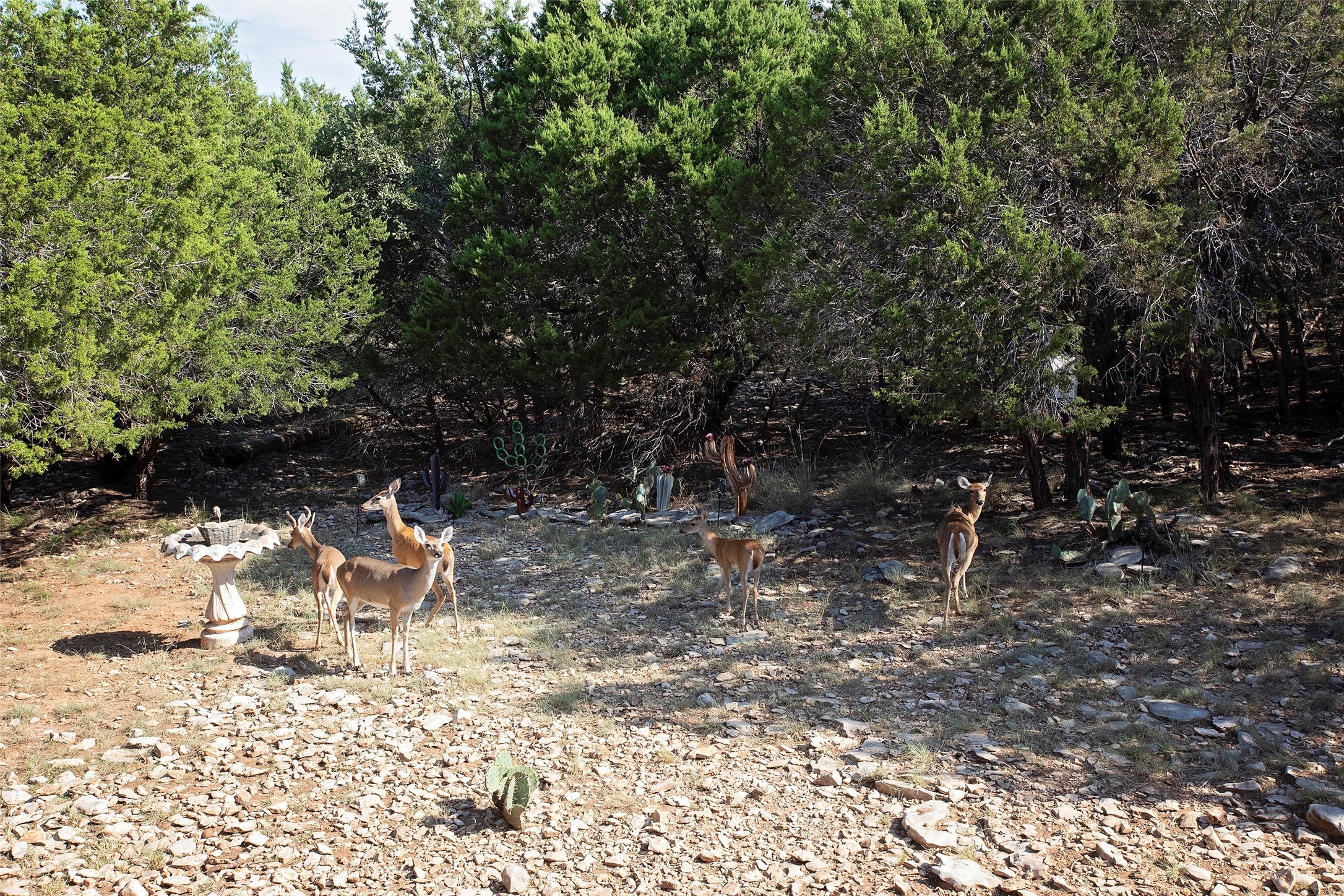 880 Cliffs Drive Possum Kingdom Lake TX 76449