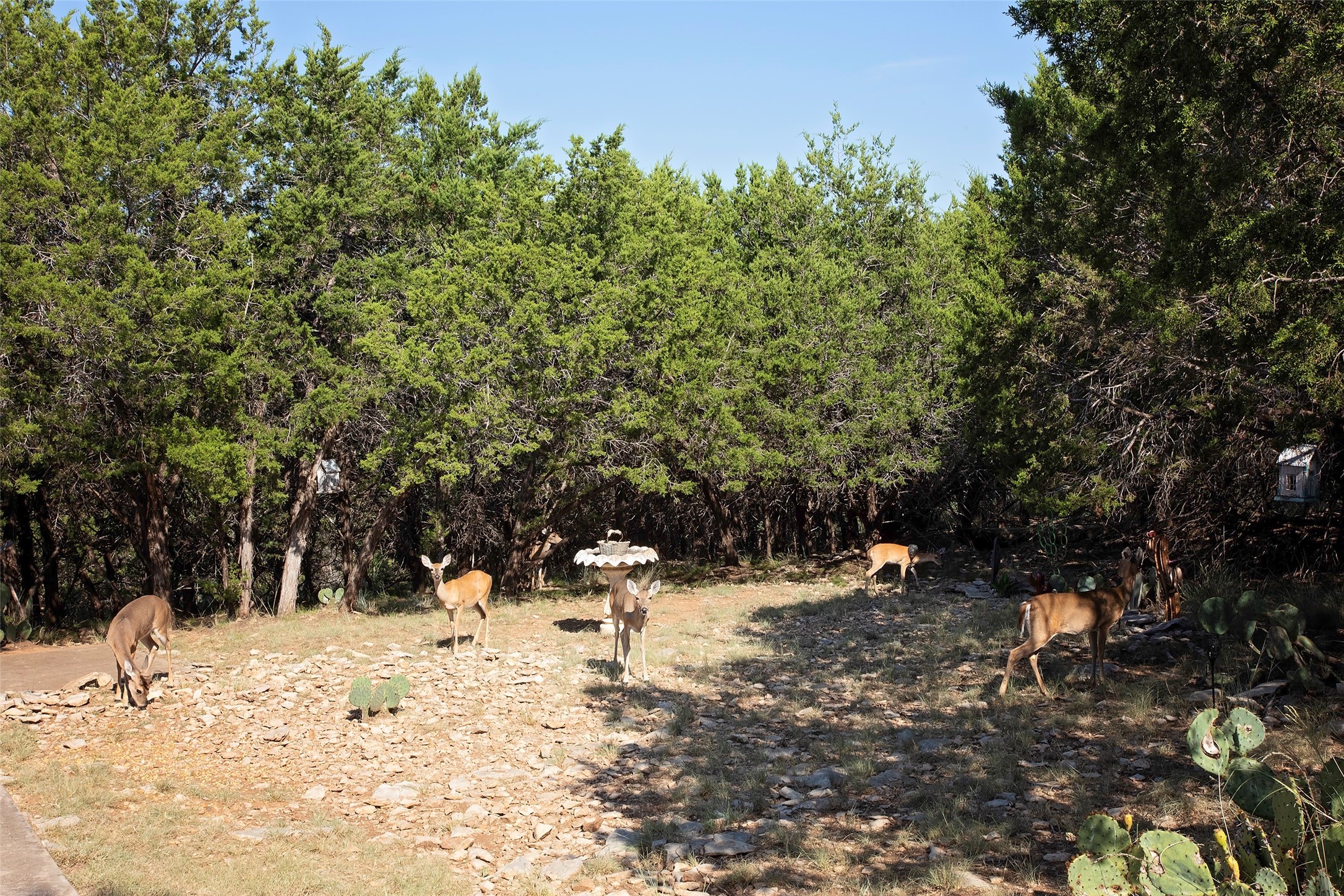 880 Cliffs Drive Possum Kingdom Lake TX 76449
