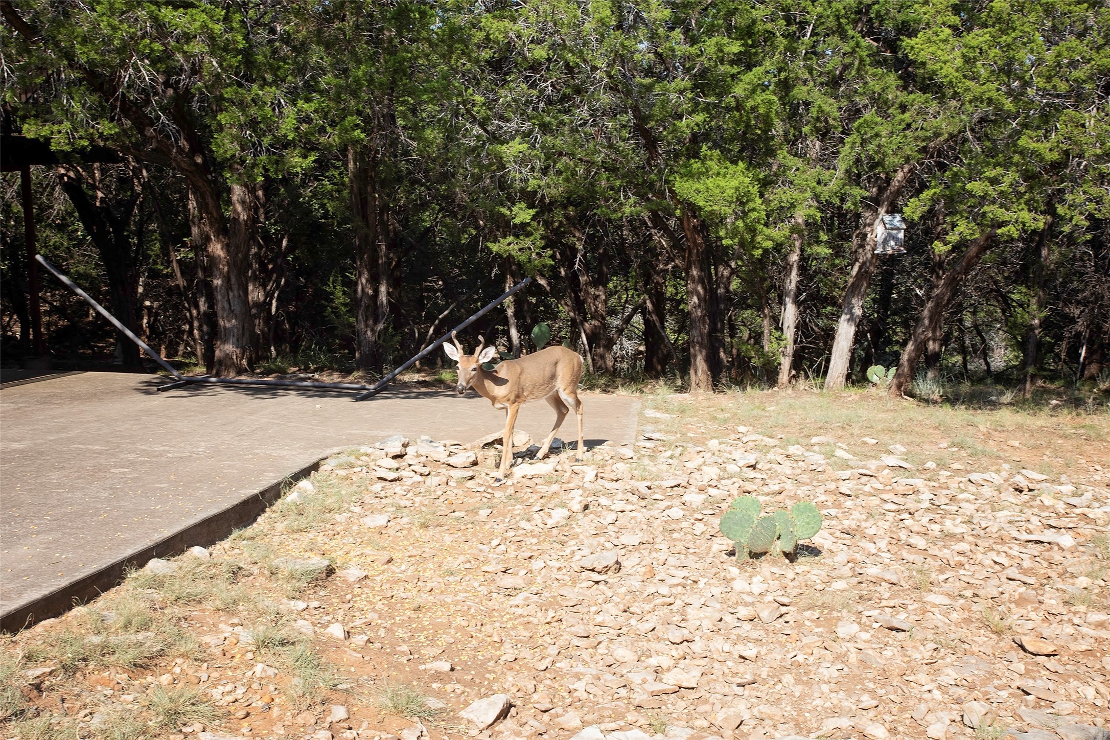 880 Cliffs Drive Possum Kingdom Lake TX 76449