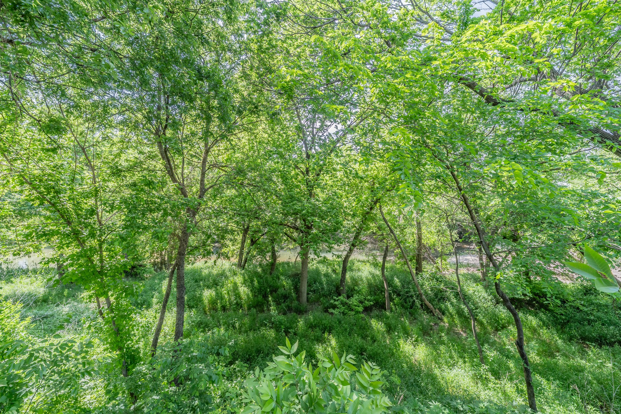 6800 Riverridge Road Fort Worth TX 76116