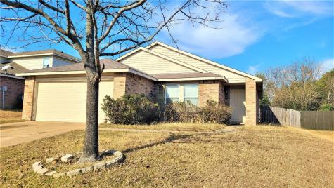 14729 Arborcrest Drive Balch Springs TX 75180