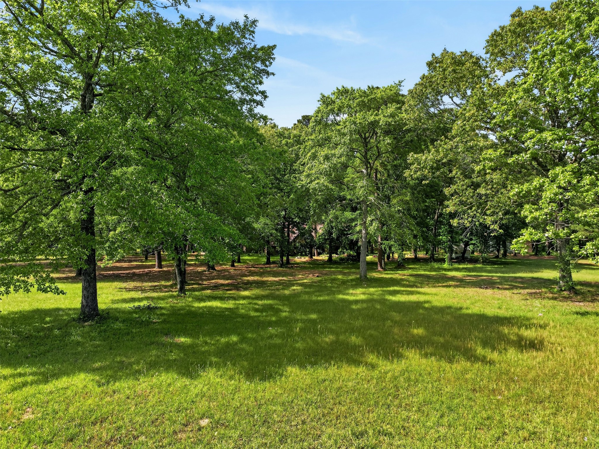 12070 Farm To Market Road 990 Simms TX 75574