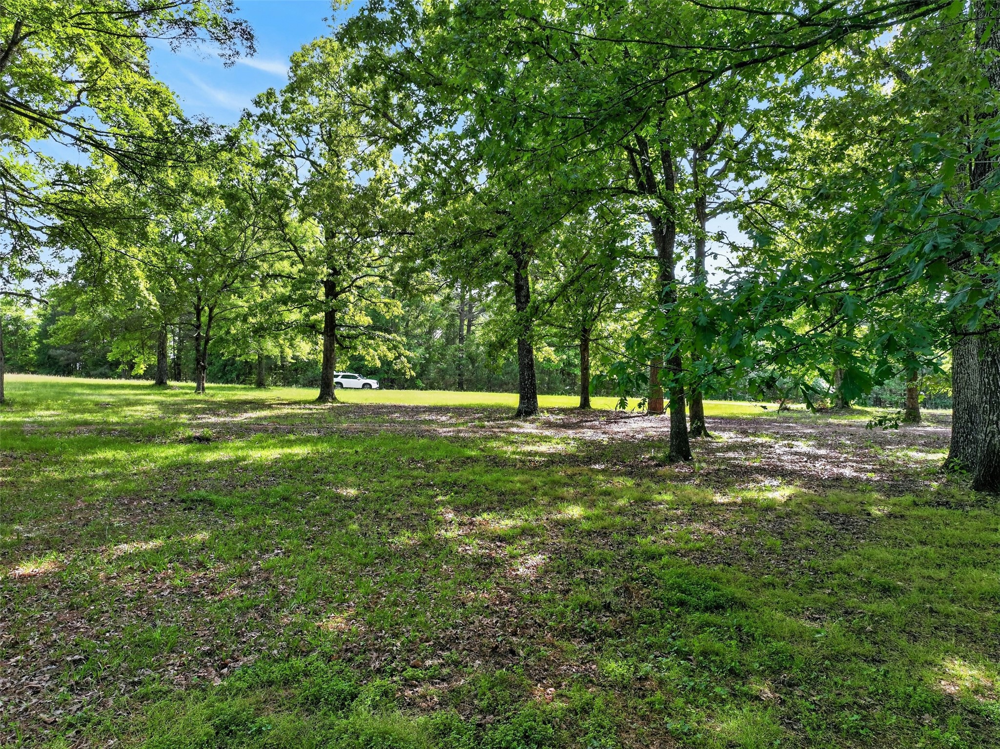 12070 Farm To Market Road 990 Simms TX 75574
