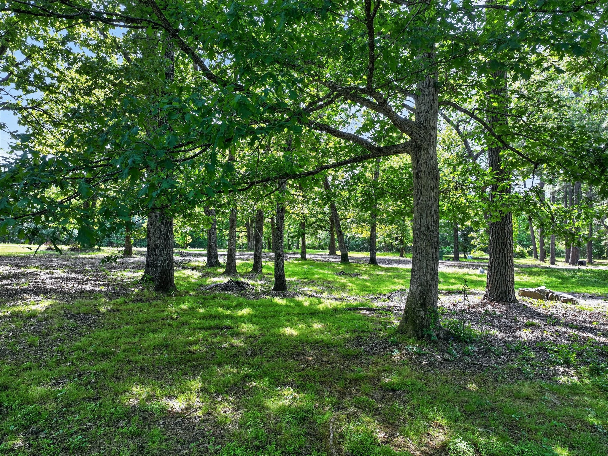 12070 Farm To Market Road 990 Simms TX 75574
