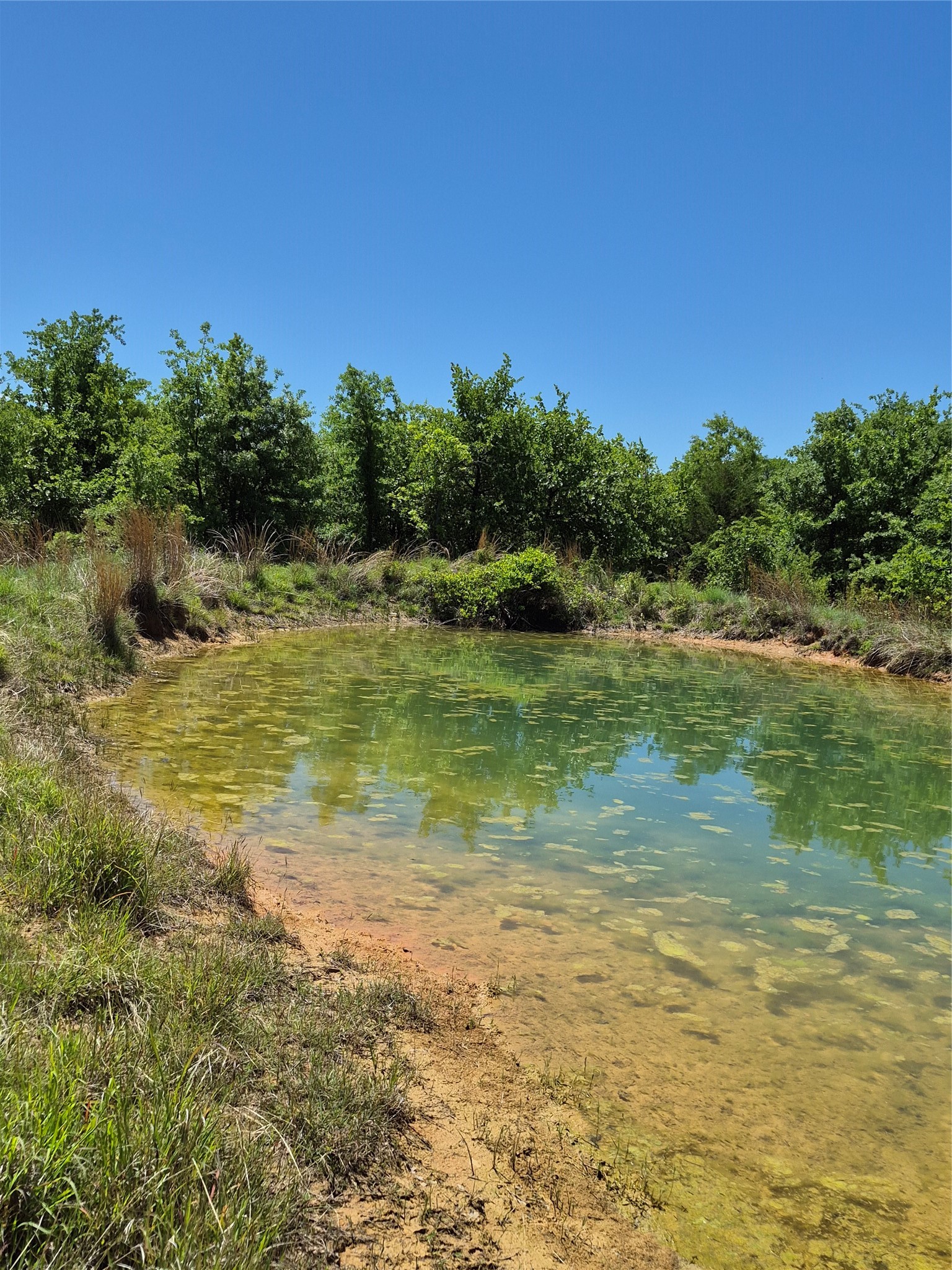 4639 County Road 276 Baird TX 79504
