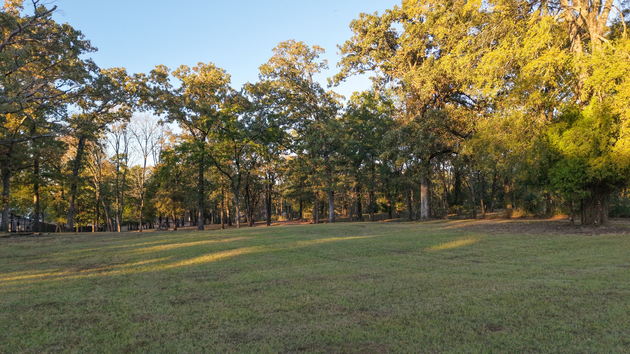 6001 Melba Drive Malakoff TX 75148