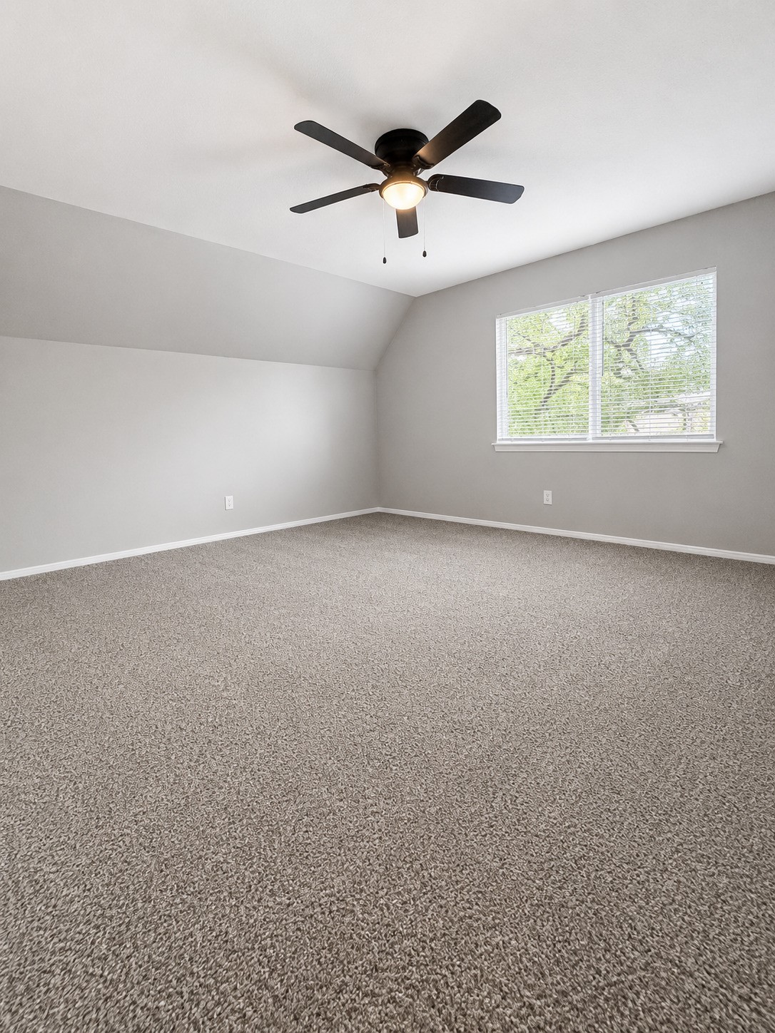 3543 Ridgebriar Drive Dallas TX 75234