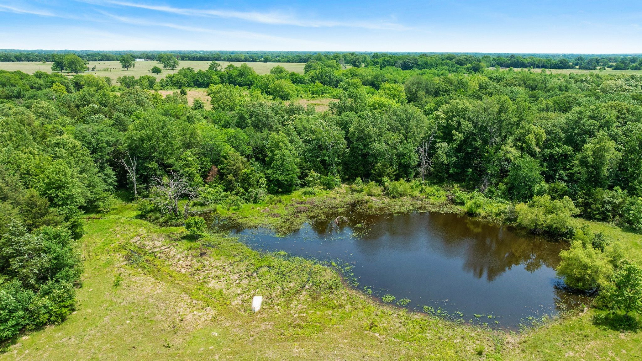 690 County Road 15560 Paris TX 75462