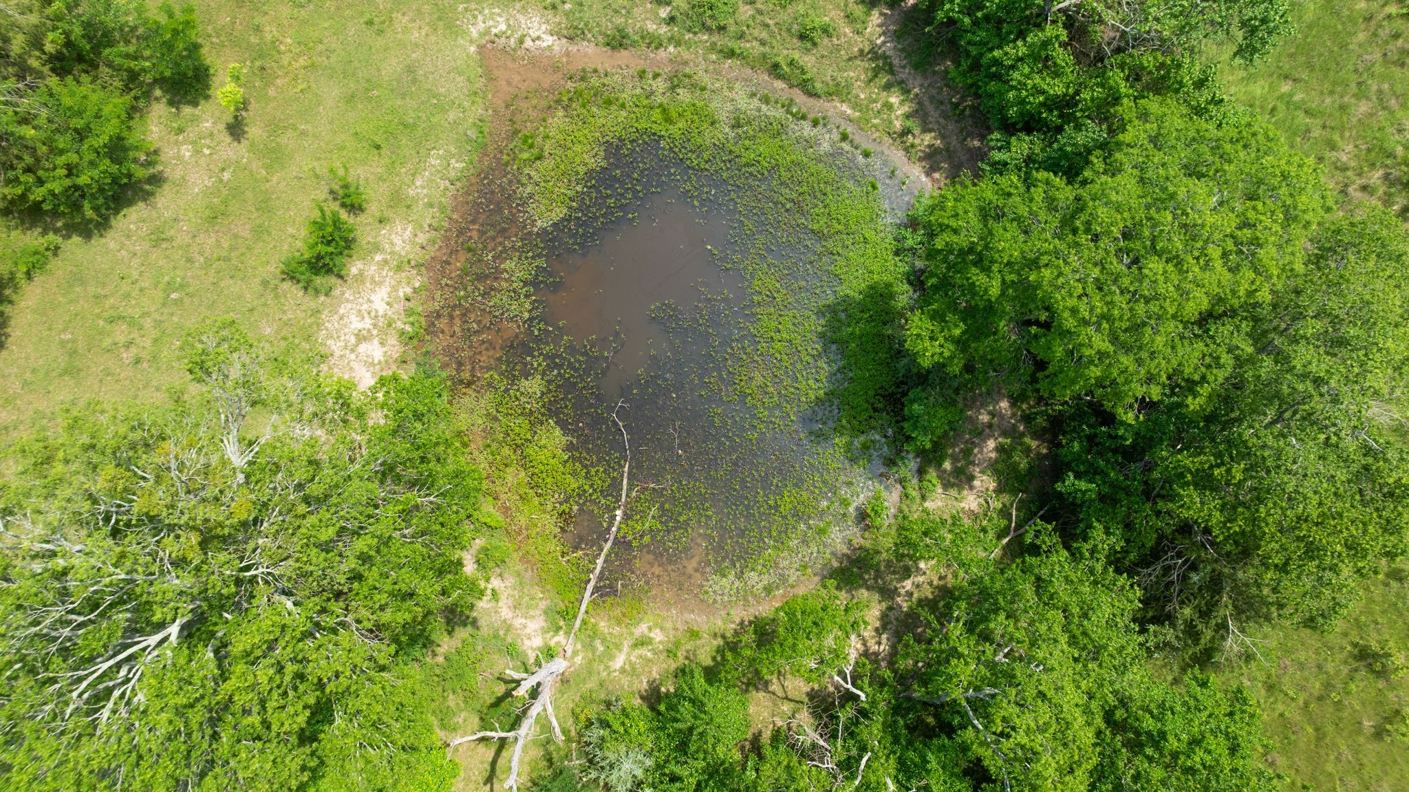 690 County Road 15560 Paris TX 75462