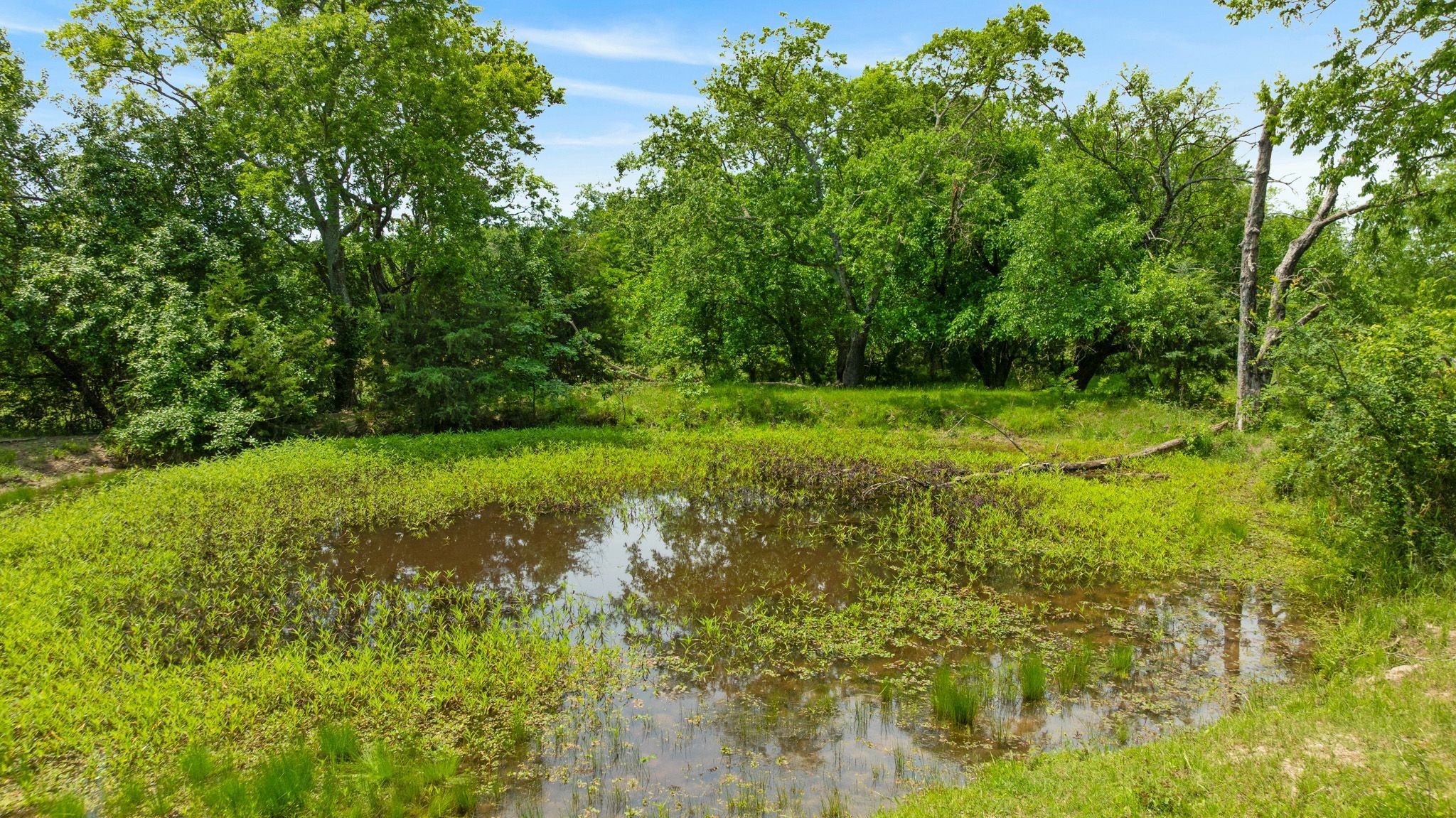 690 County Road 15560 Paris TX 75462