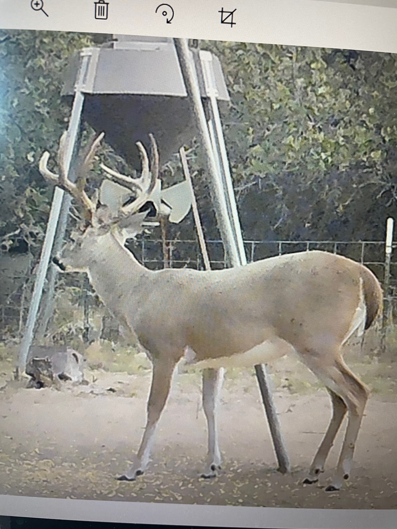 690 County Road 15560 Paris TX 75462