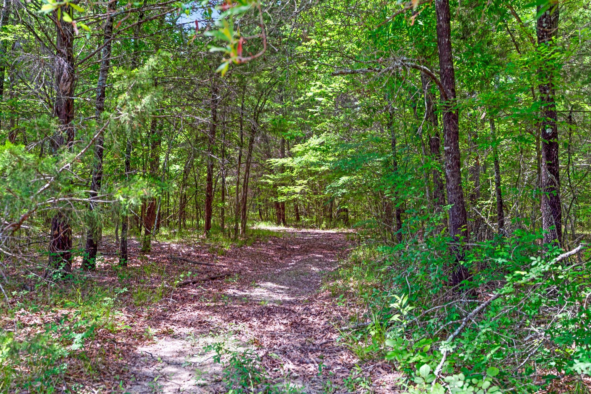 690 County Road 15560 Paris TX 75462