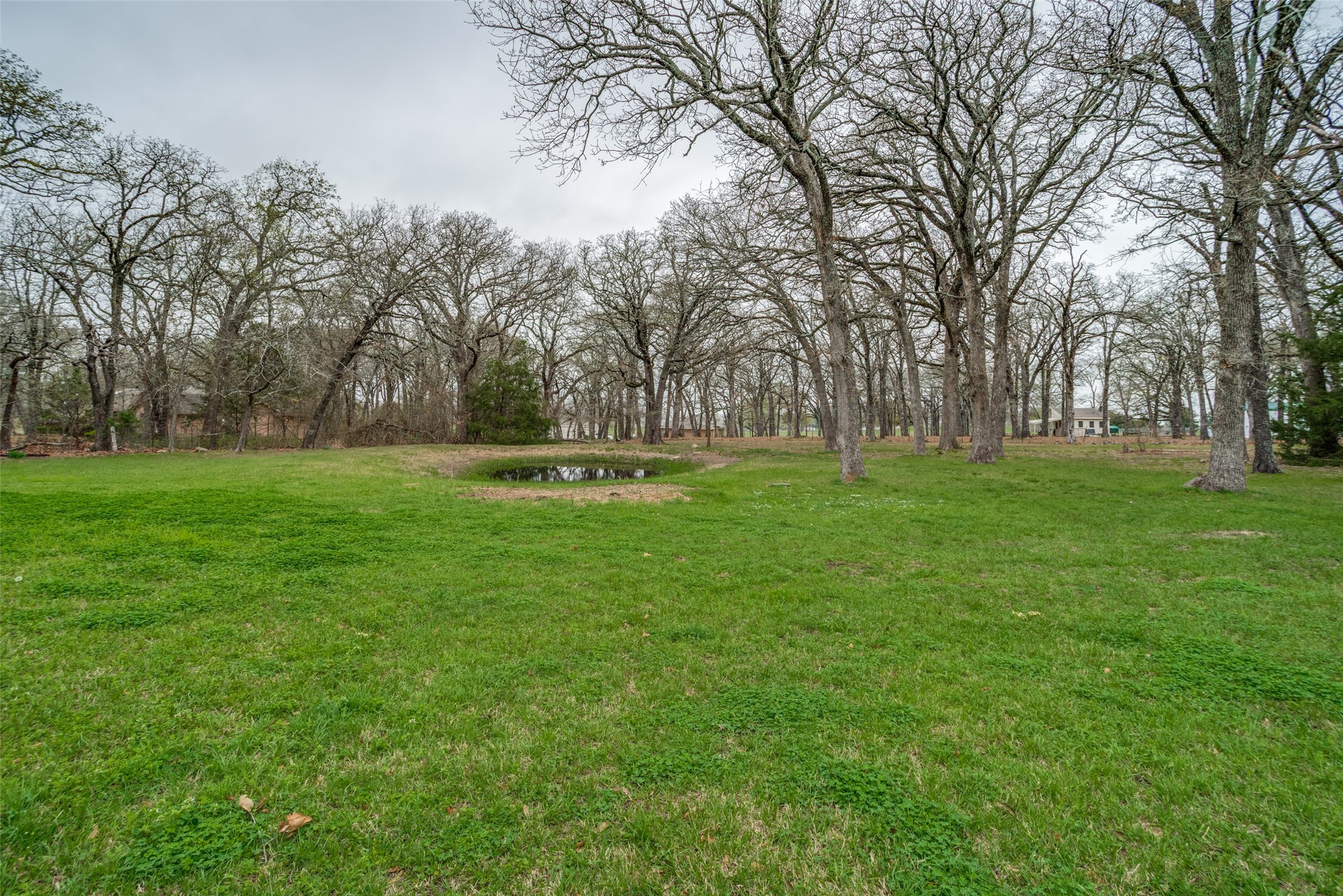 1620 Mamie Road Greenville TX 75402