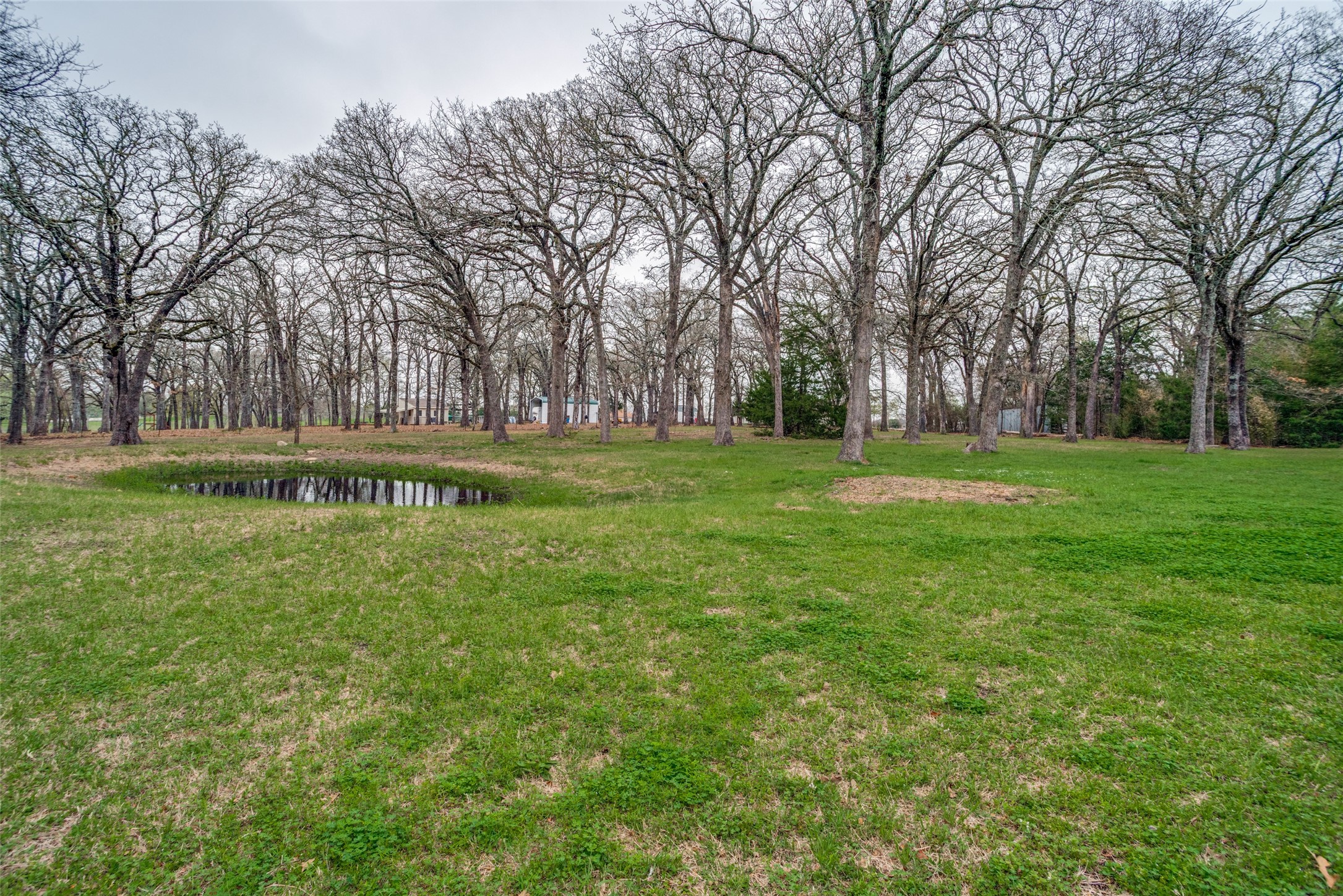 1620 Mamie Road Greenville TX 75402