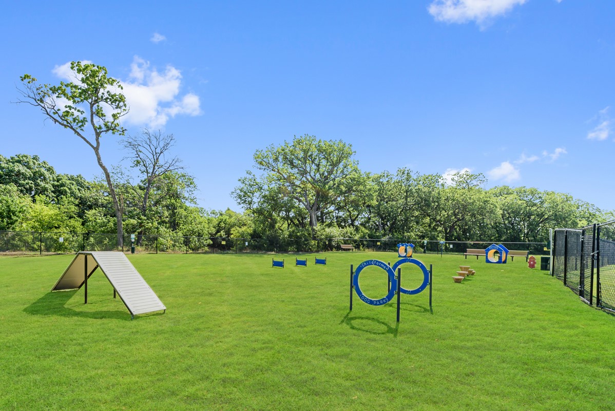 1011 Candlewyck Drive Justin TX 76247