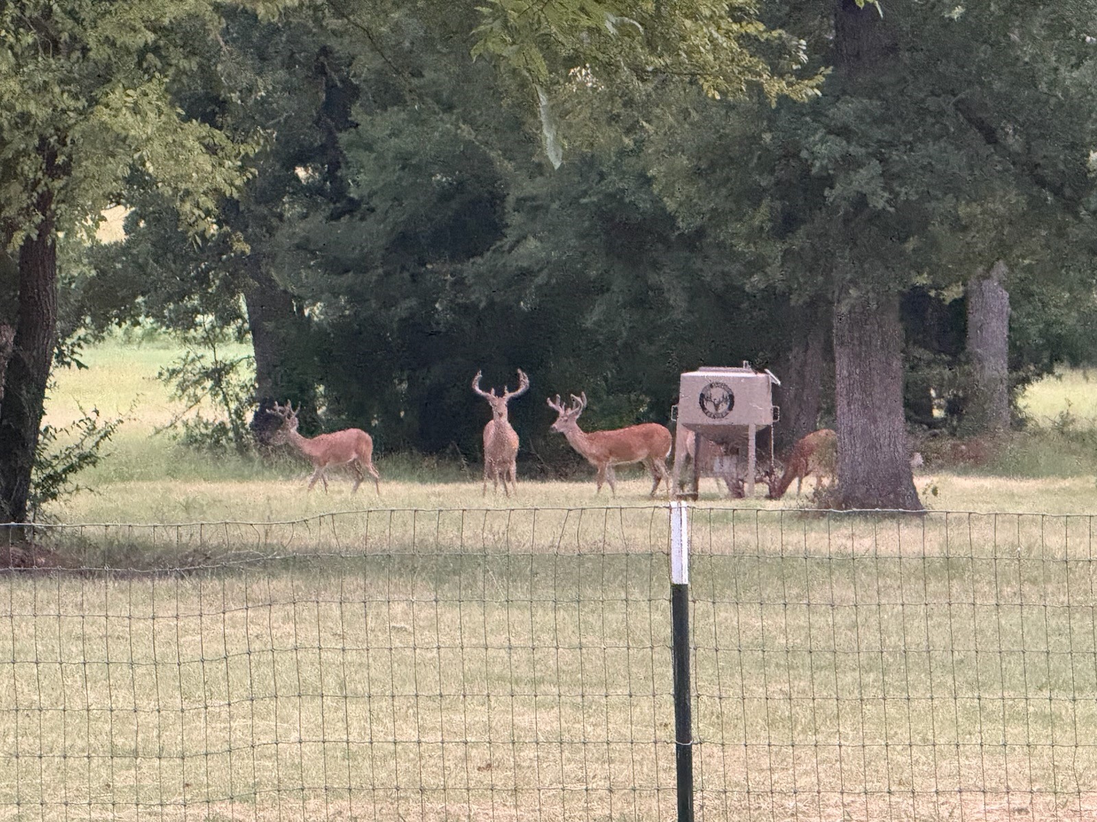 9748 County Road 1200 Athens TX 75751