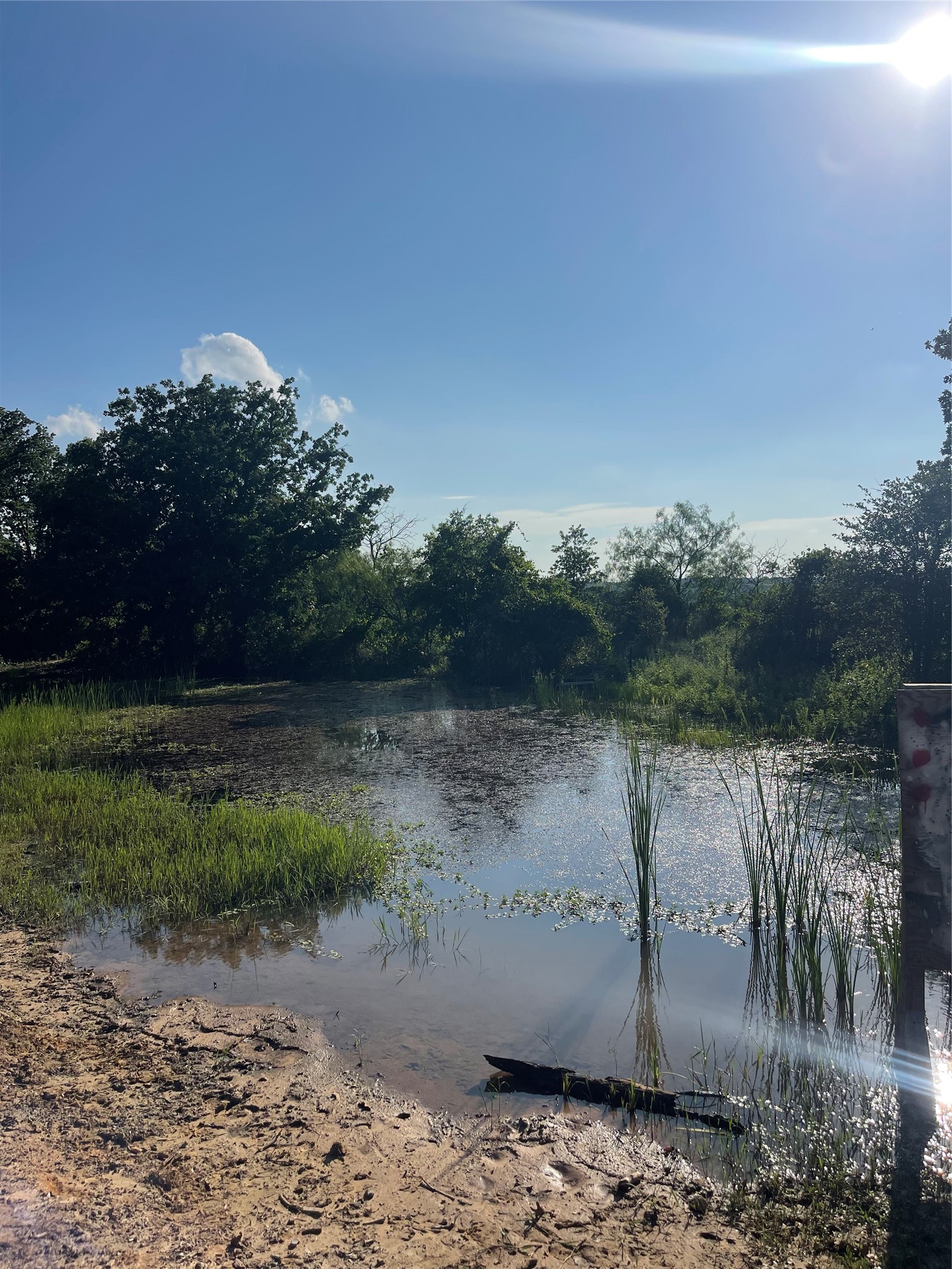 342 County Road 3851 Poolville TX 76487