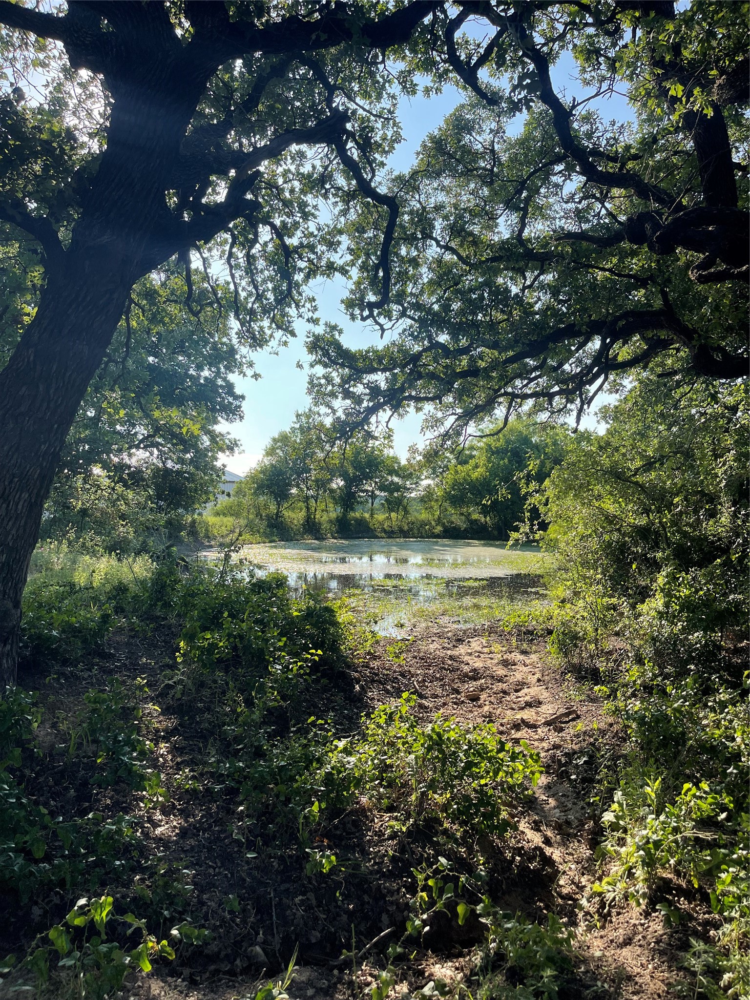342 County Road 3851 Poolville TX 76487