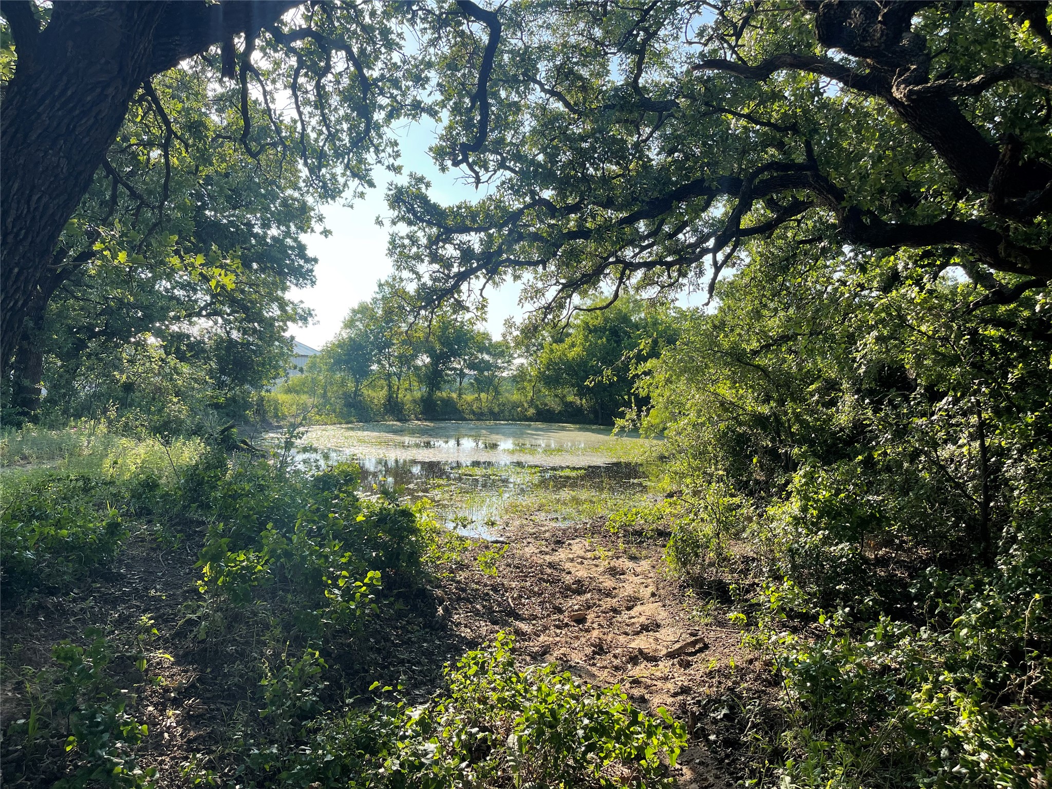 342 County Road 3851 Poolville TX 76487