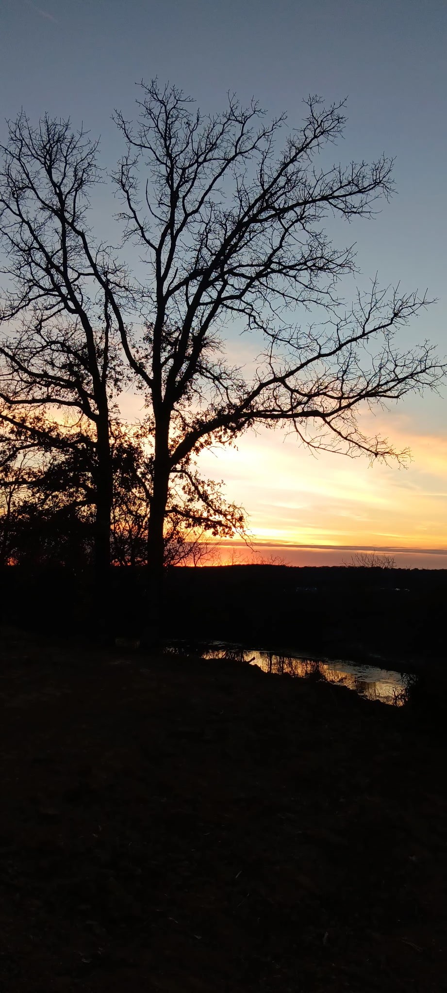 342 County Road 3851 Poolville TX 76487