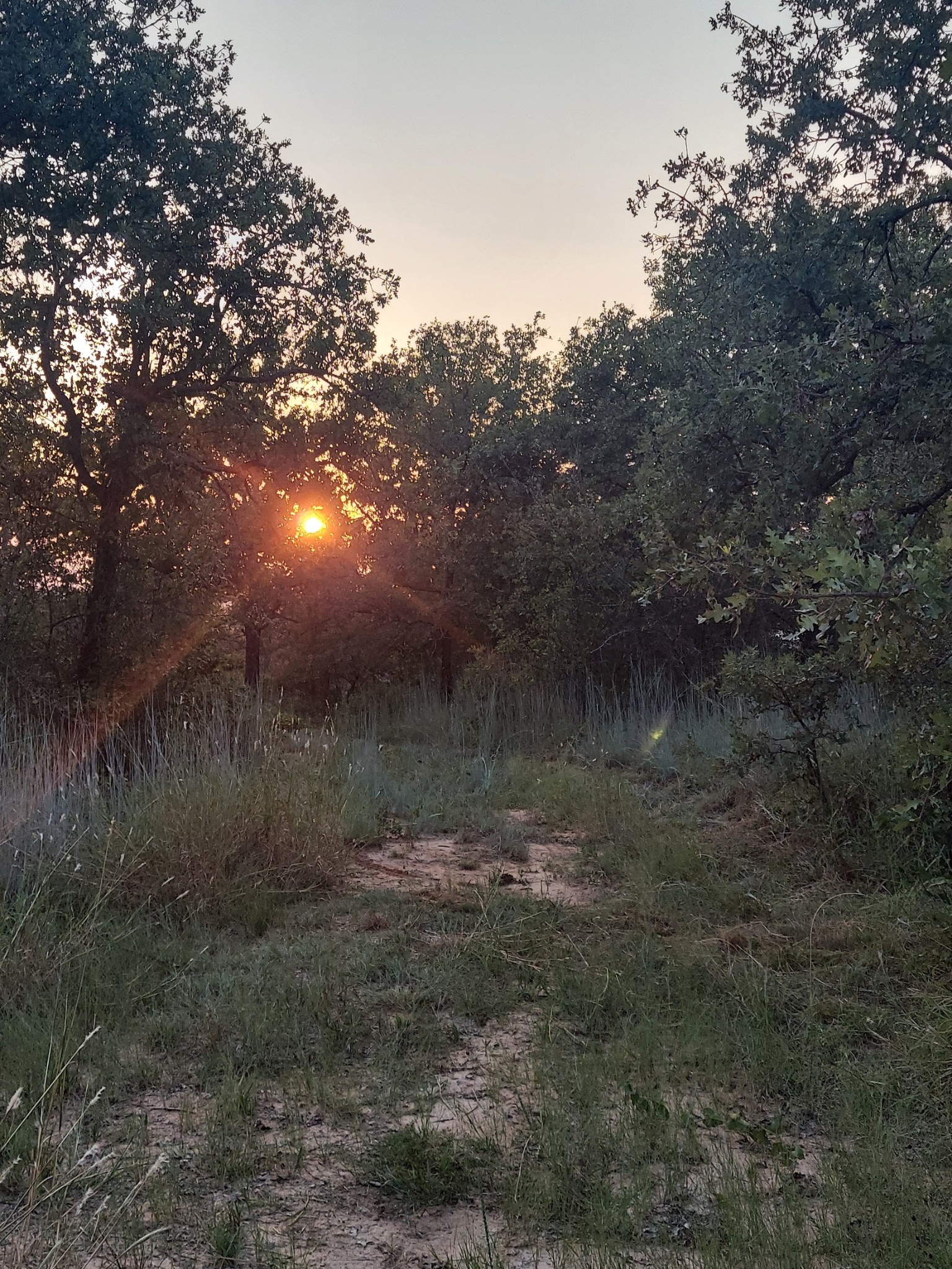 342 County Road 3851 Poolville TX 76487