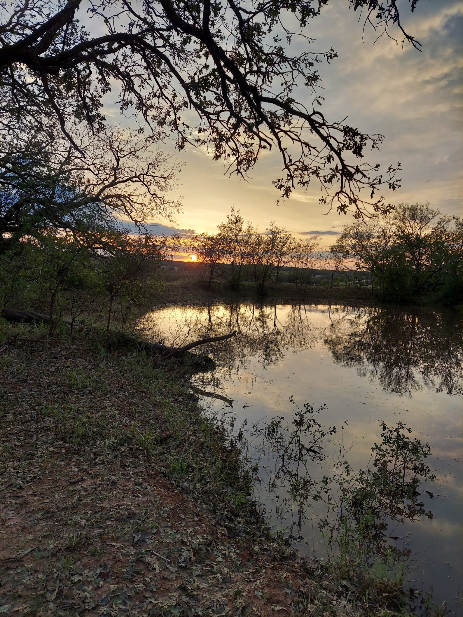 342 County Road 3851 Poolville TX 76487