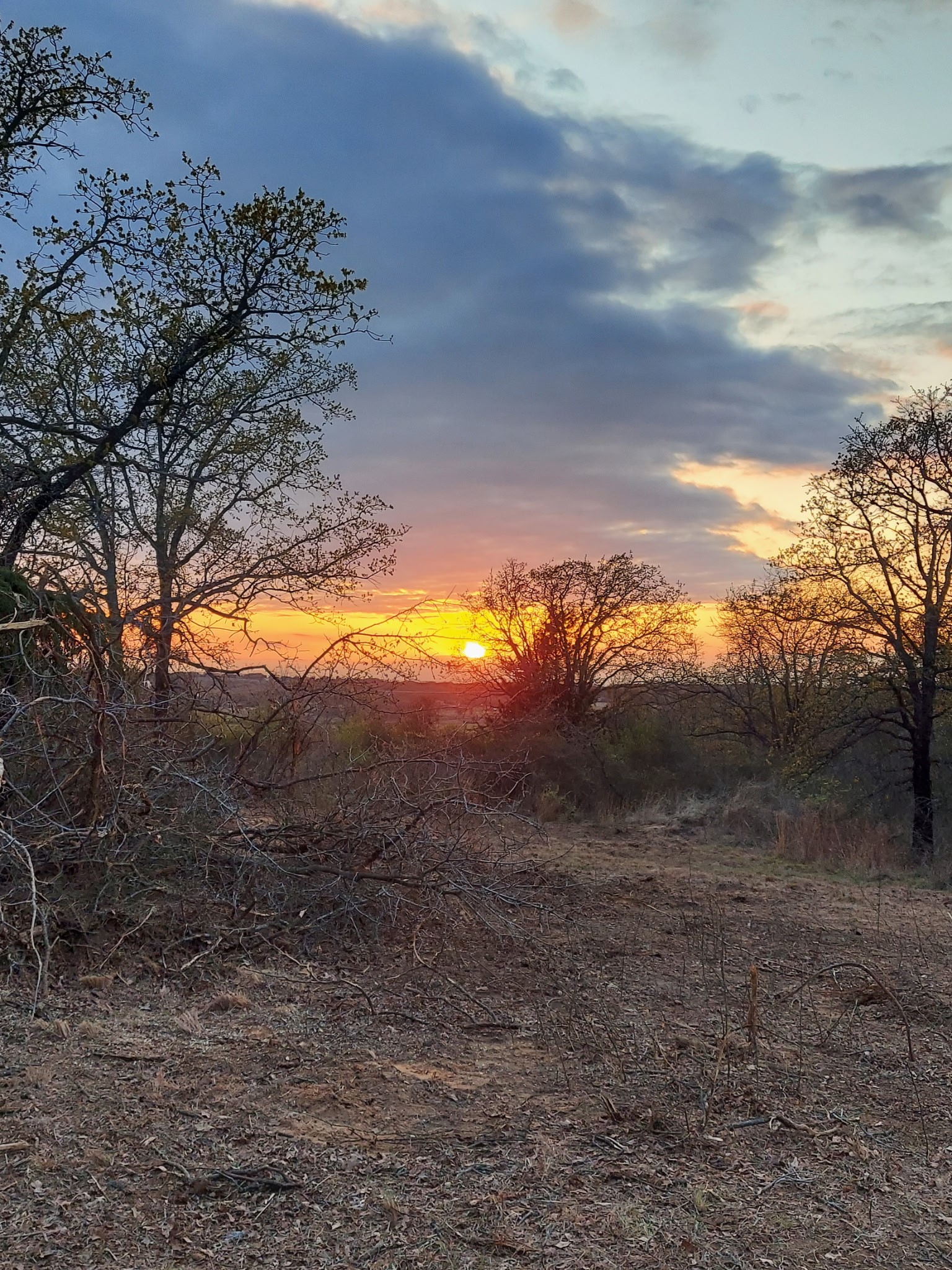342 County Road 3851 Poolville TX 76487