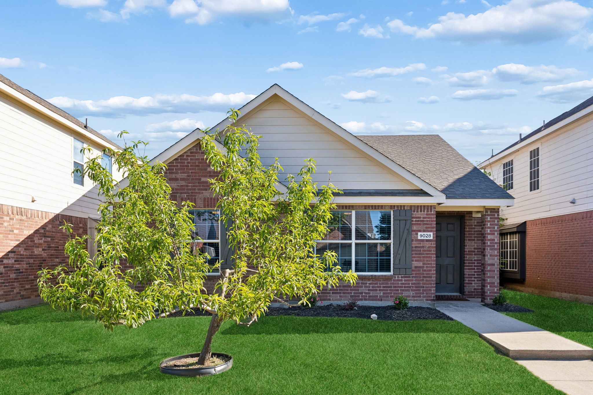 9028 Wild Rose Lane Cross Roads TX 76227