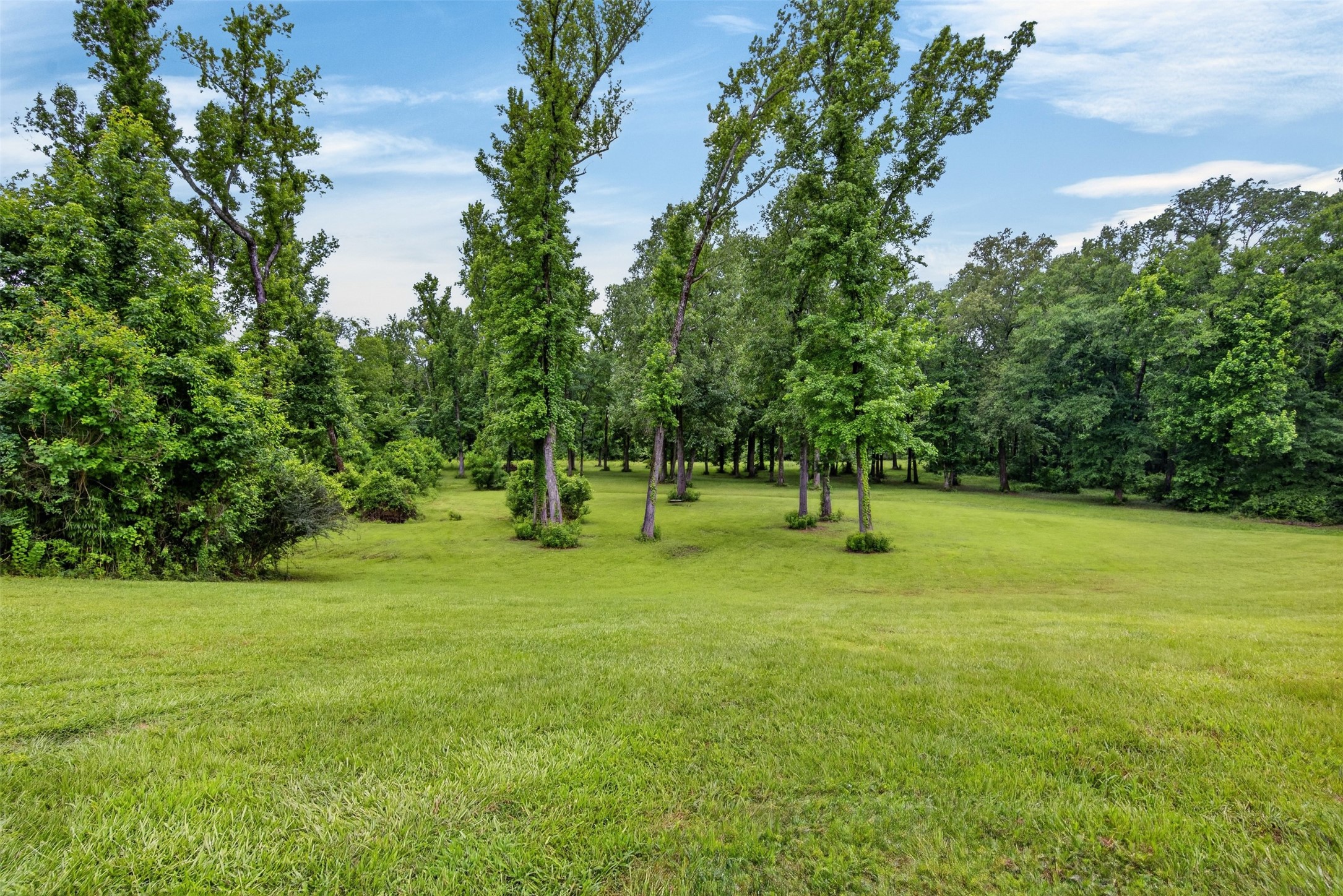 11868 Timber Ridge Drive Keithville LA 71047