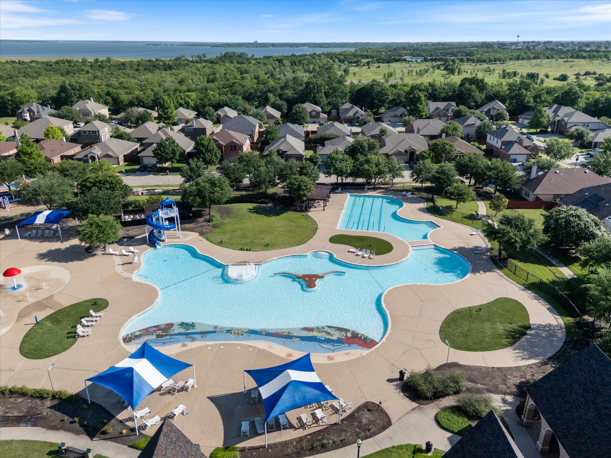 462 W Autumn Hill Bluff Lavon TX 75166