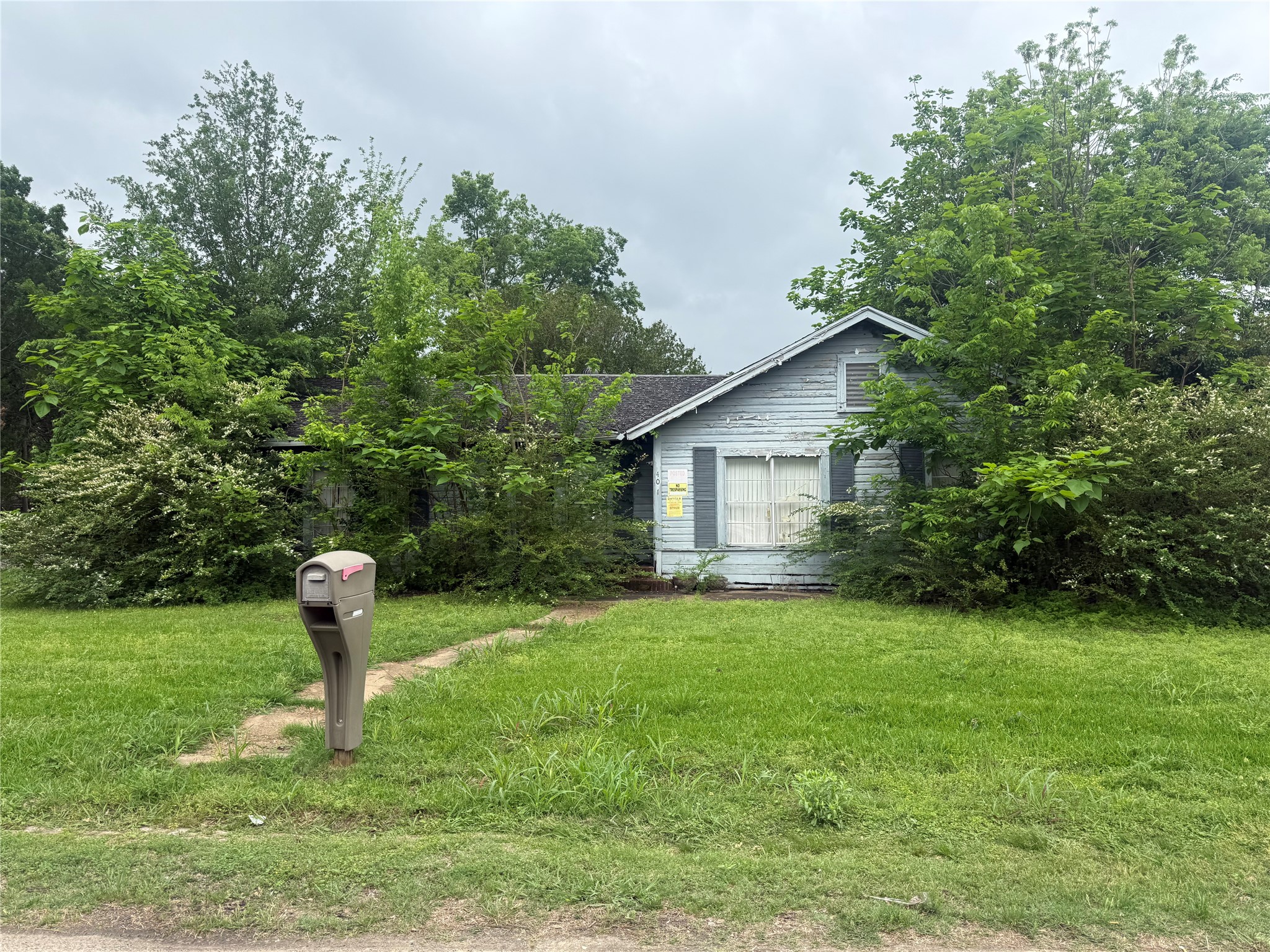 401 W Evans Avenue Bonham TX 75418