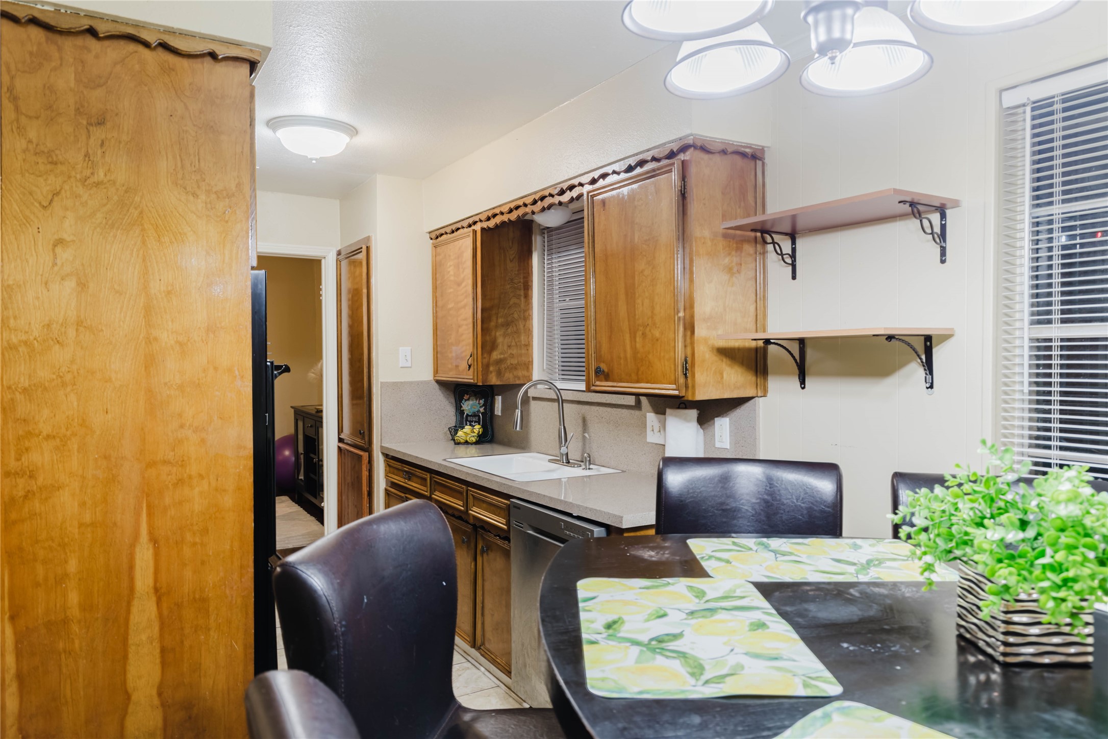 317 Willow Wood Lane Desoto TX 75115