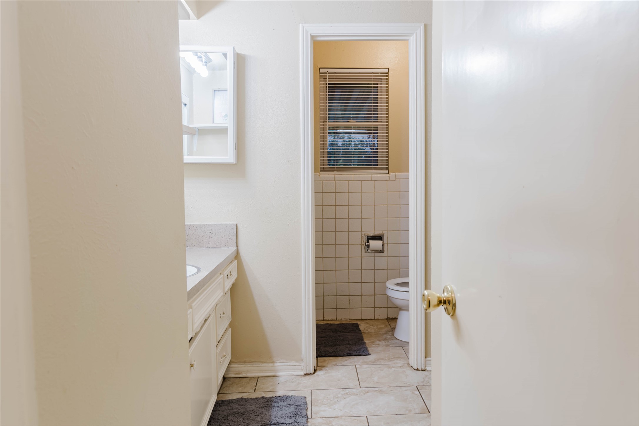 317 Willow Wood Lane Desoto TX 75115