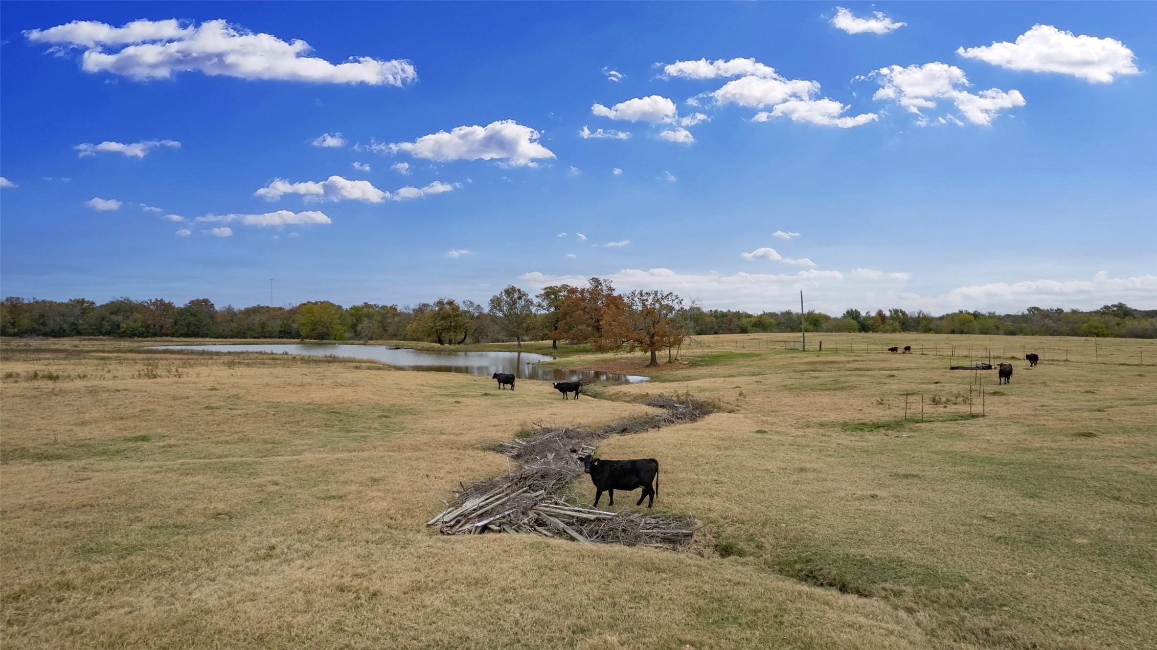 1436 County Road 2320 Como TX 75431