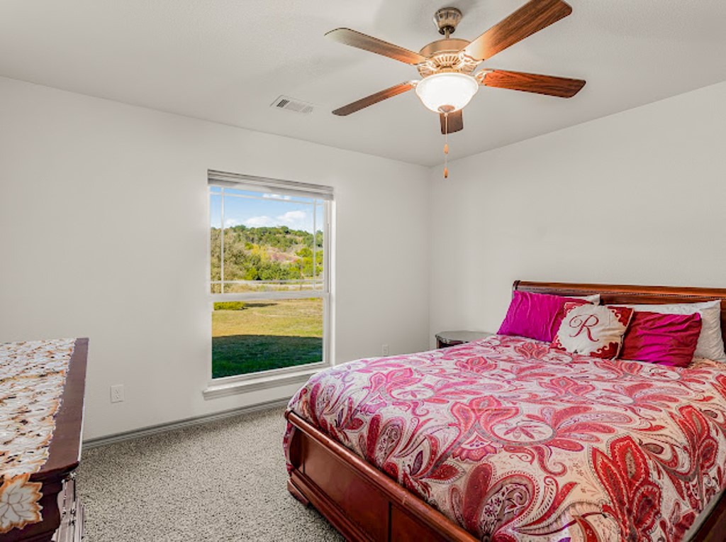 1626 Sawtooth Mountain Road Graford TX 76449