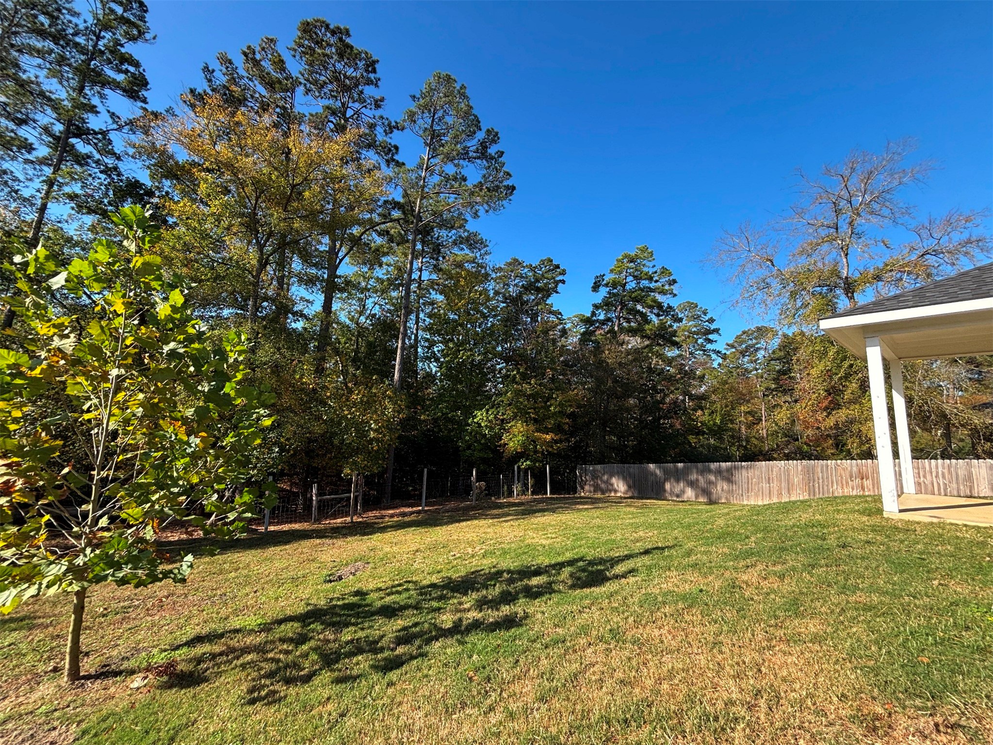 196 Twisted Oaks Drive Rusk TX 75785