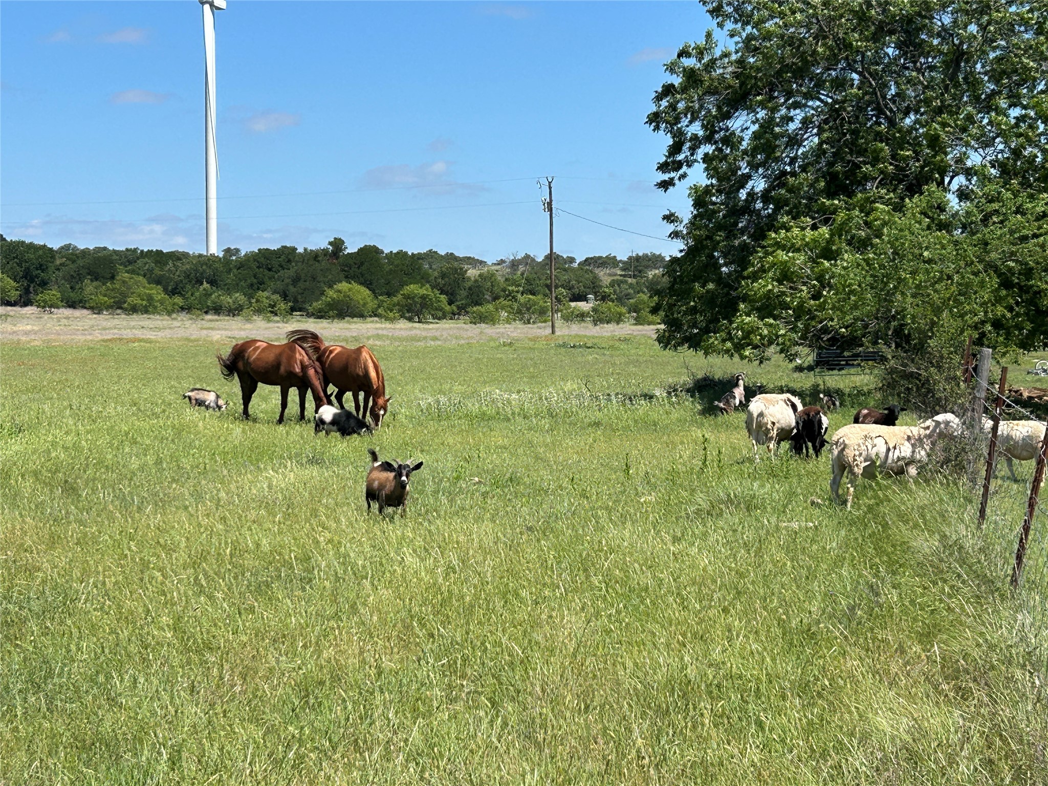 495 Fm 2005 Goldthwaite TX 76844