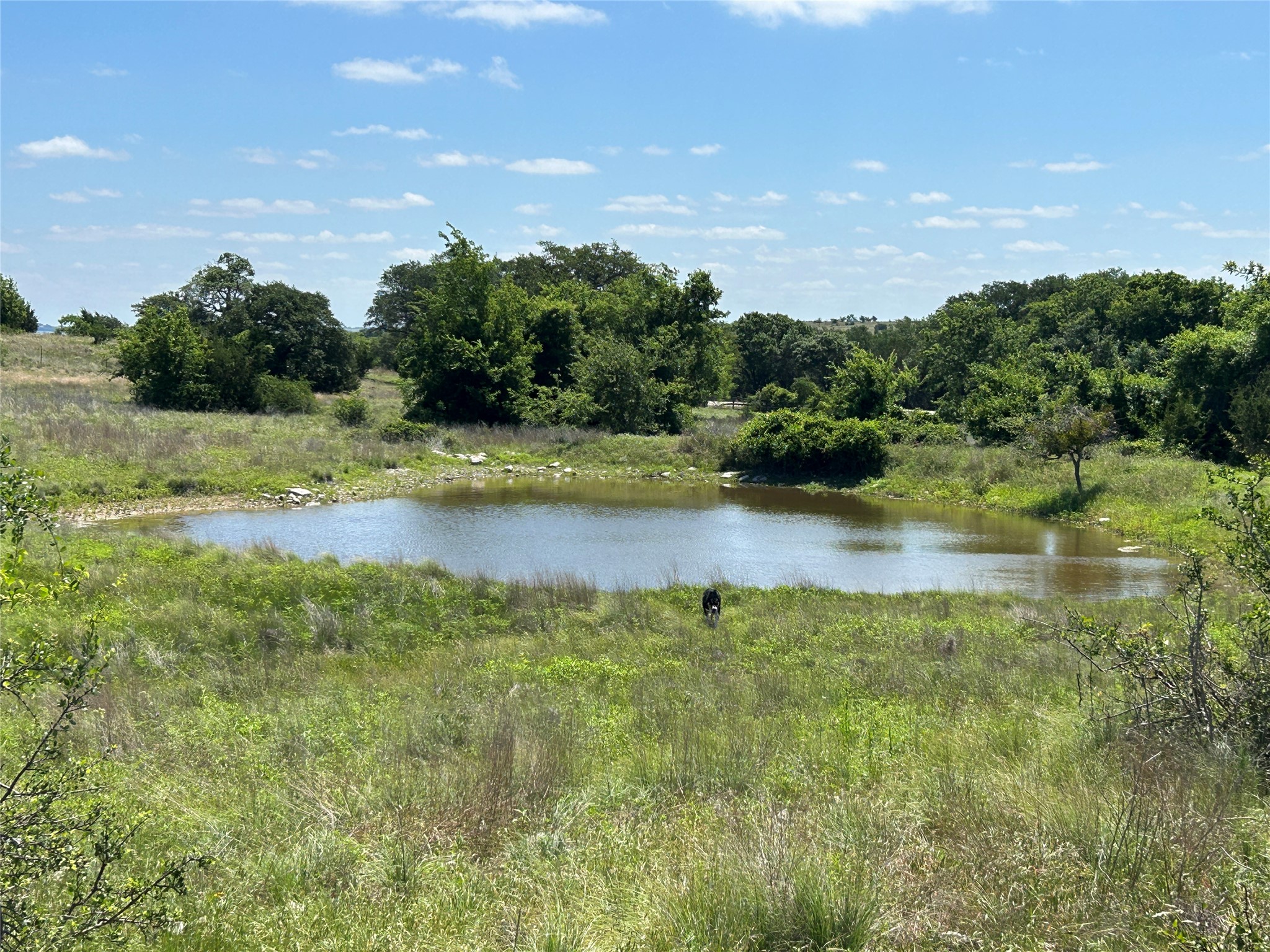 495 Fm 2005 Goldthwaite TX 76844