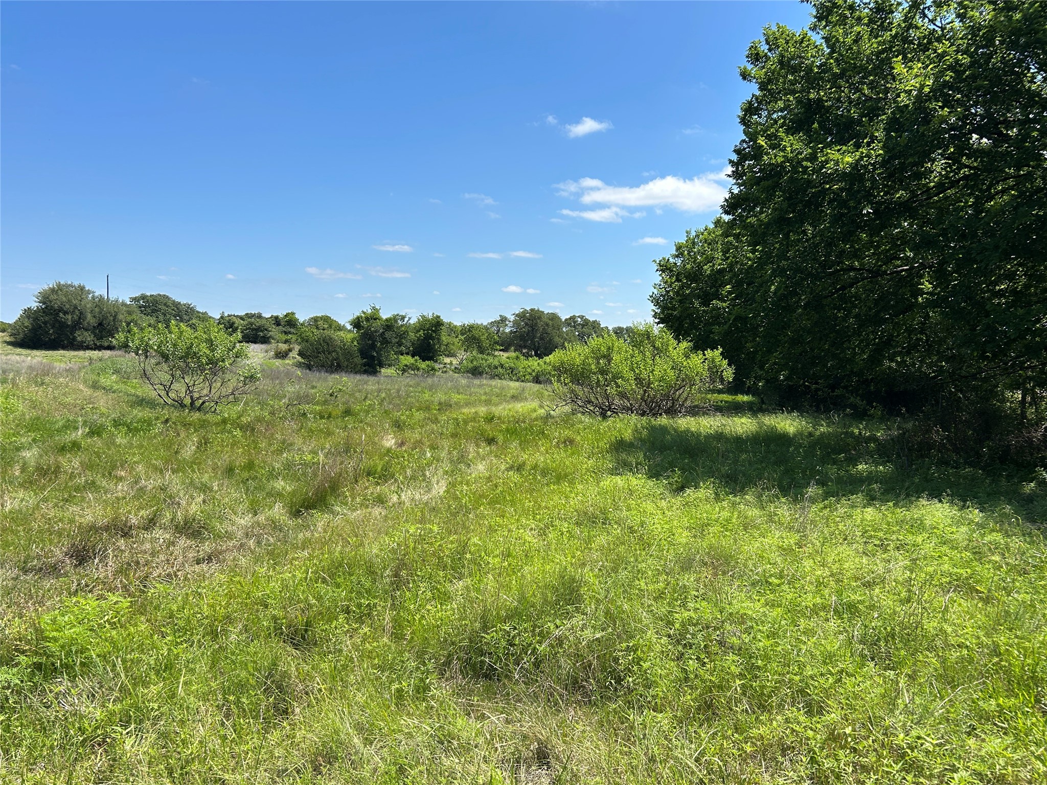 495 Fm 2005 Goldthwaite TX 76844
