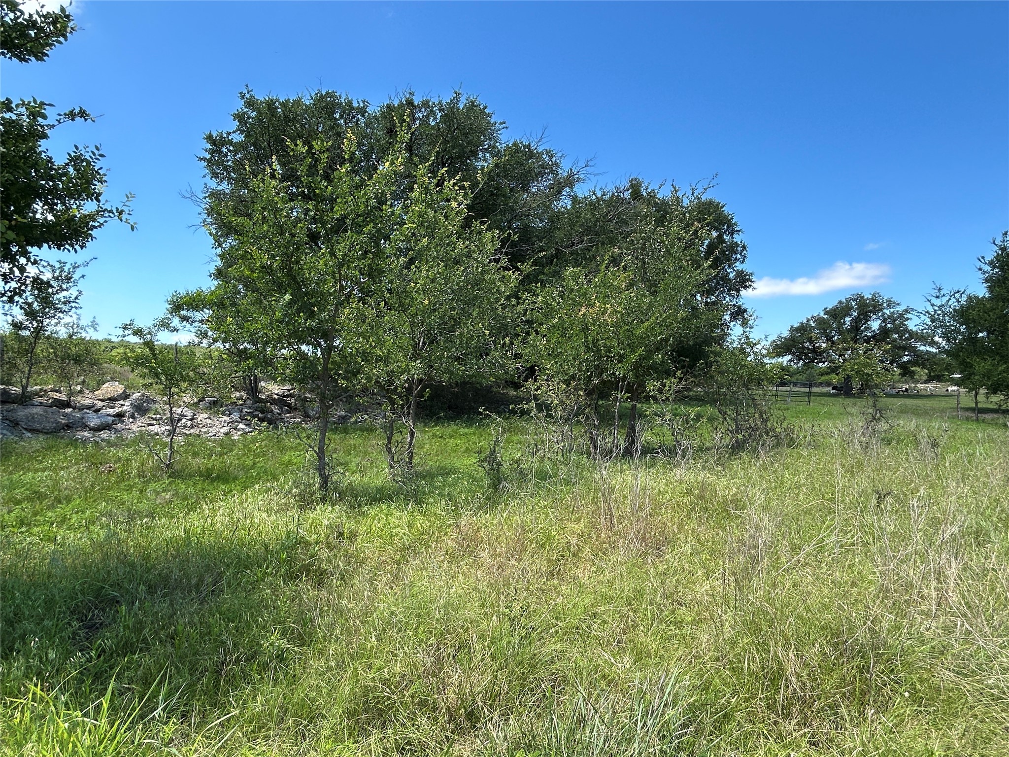 495 Fm 2005 Goldthwaite TX 76844