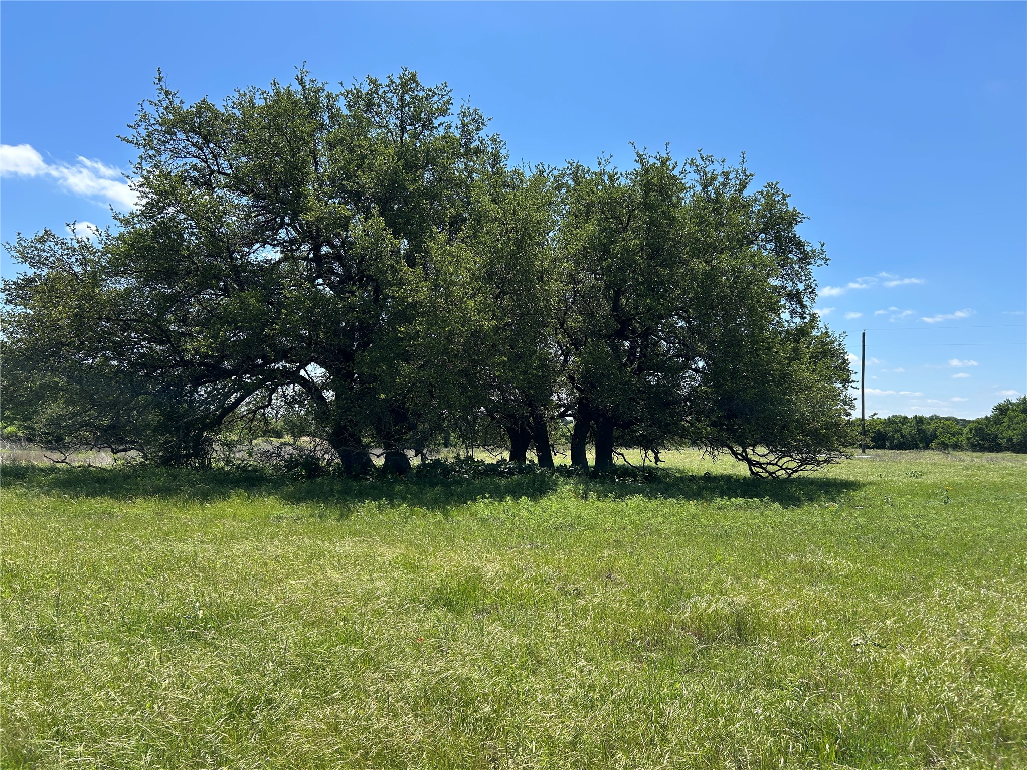 495 Fm 2005 Goldthwaite TX 76844
